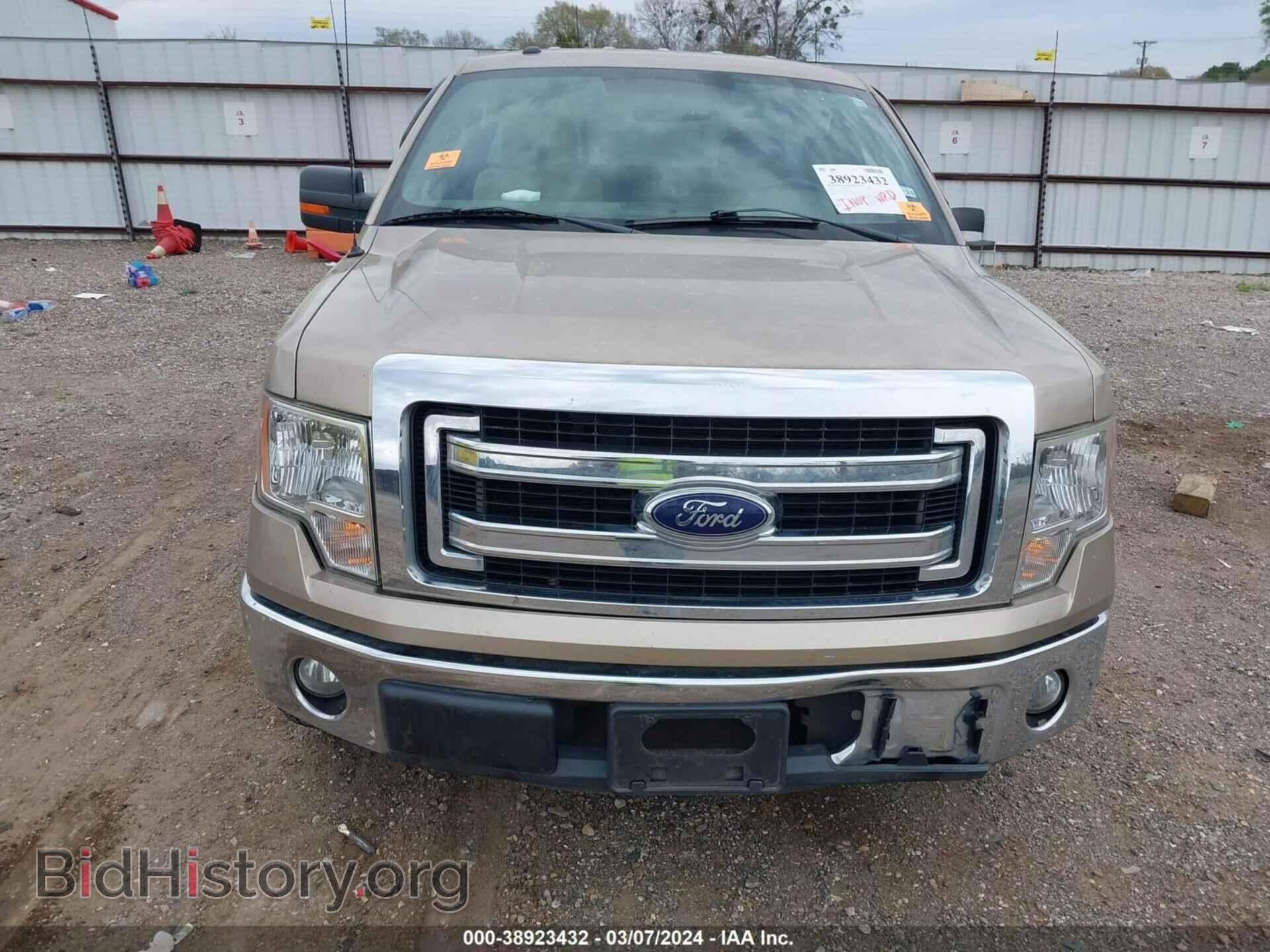 2013 FORD F-150 - VIN: 1FTMF1CM4DFC19390 - Photo 10