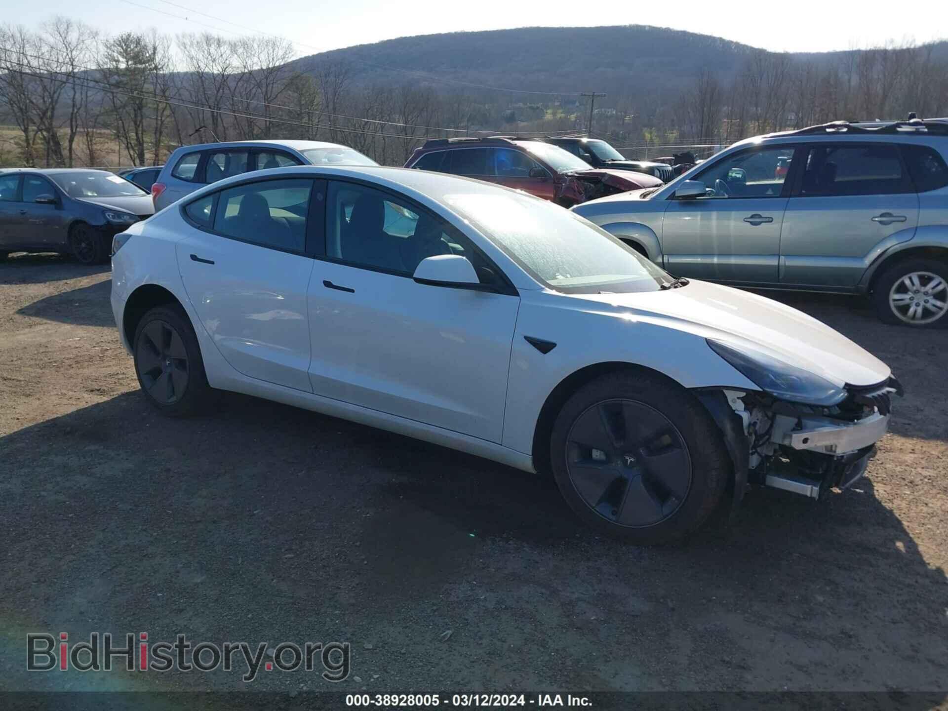 Photo 5YJ3E1EA7PF555366 - TESLA MODEL 3 2023
