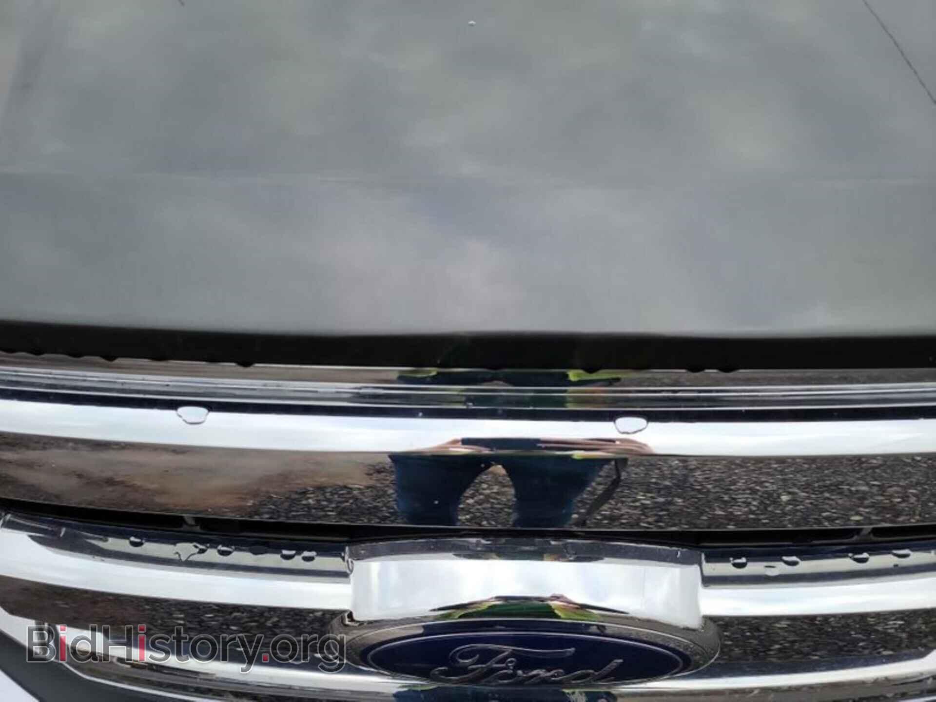 2017 FORD F-150 - VIN: 1FTEW1EF6HFC06875 - Фото 7