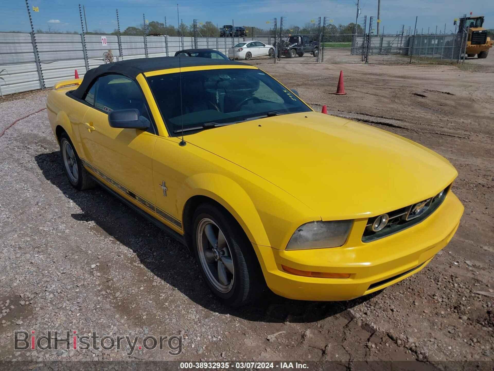 Photo 1ZVHT84N865169500 - FORD MUSTANG 2006