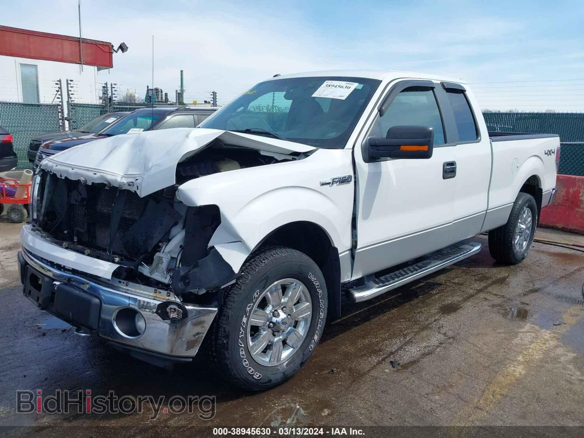 2011 FORD F-150 - VIN: 1FTFX1EF3BFB69325 - Фото 2