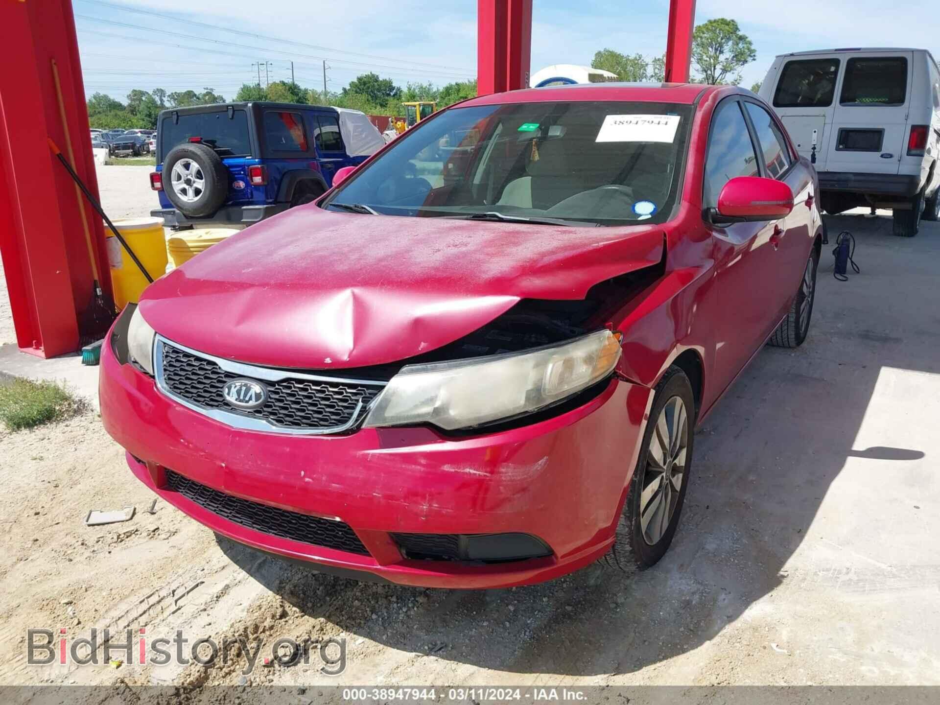 2013 KIA FORTE - VIN: KNAFU4A24D5728237 - Фото 2