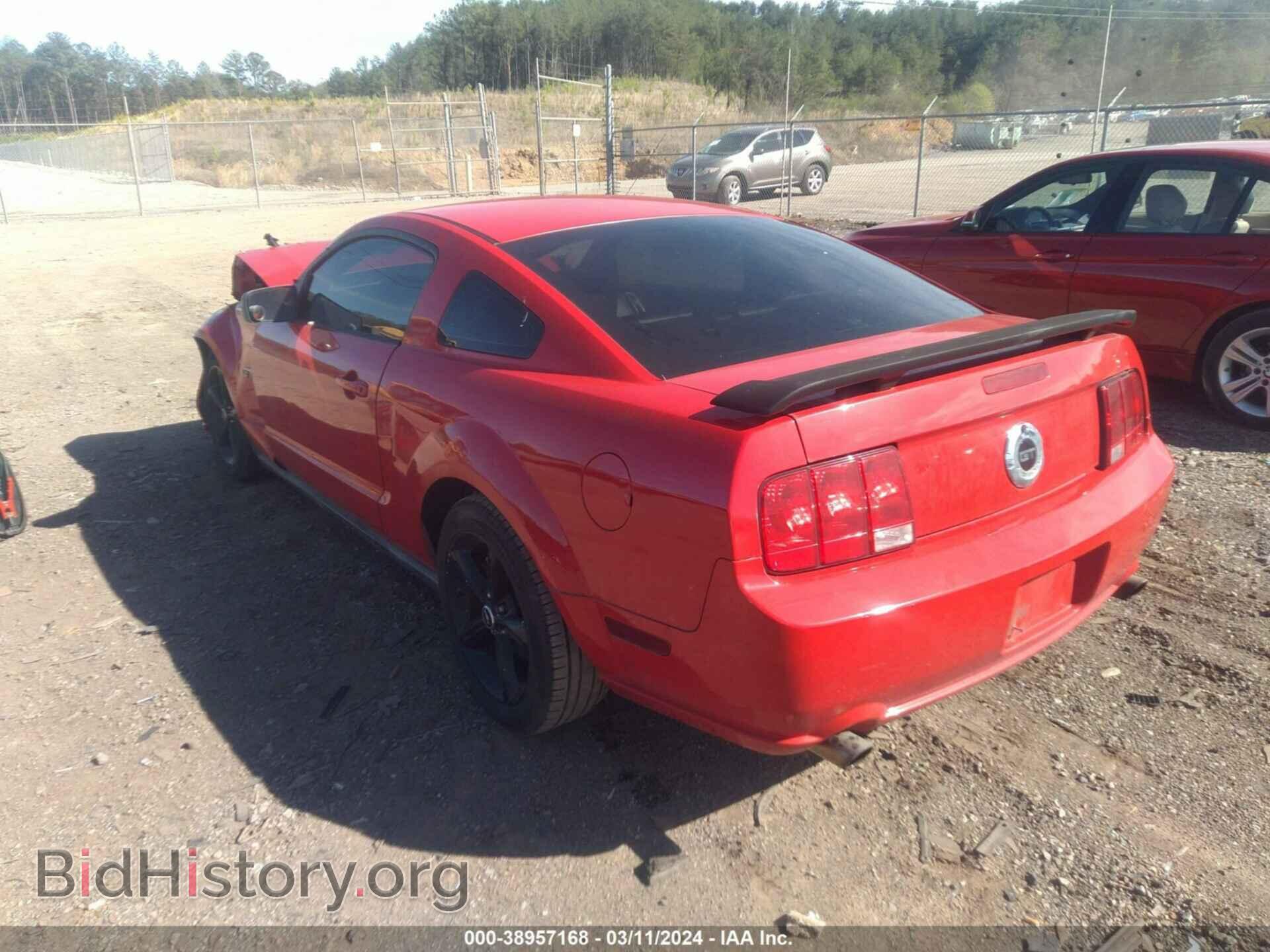 2006 FORD MUSTANG - VIN: 1ZVHT82H165255731 - Фото 3