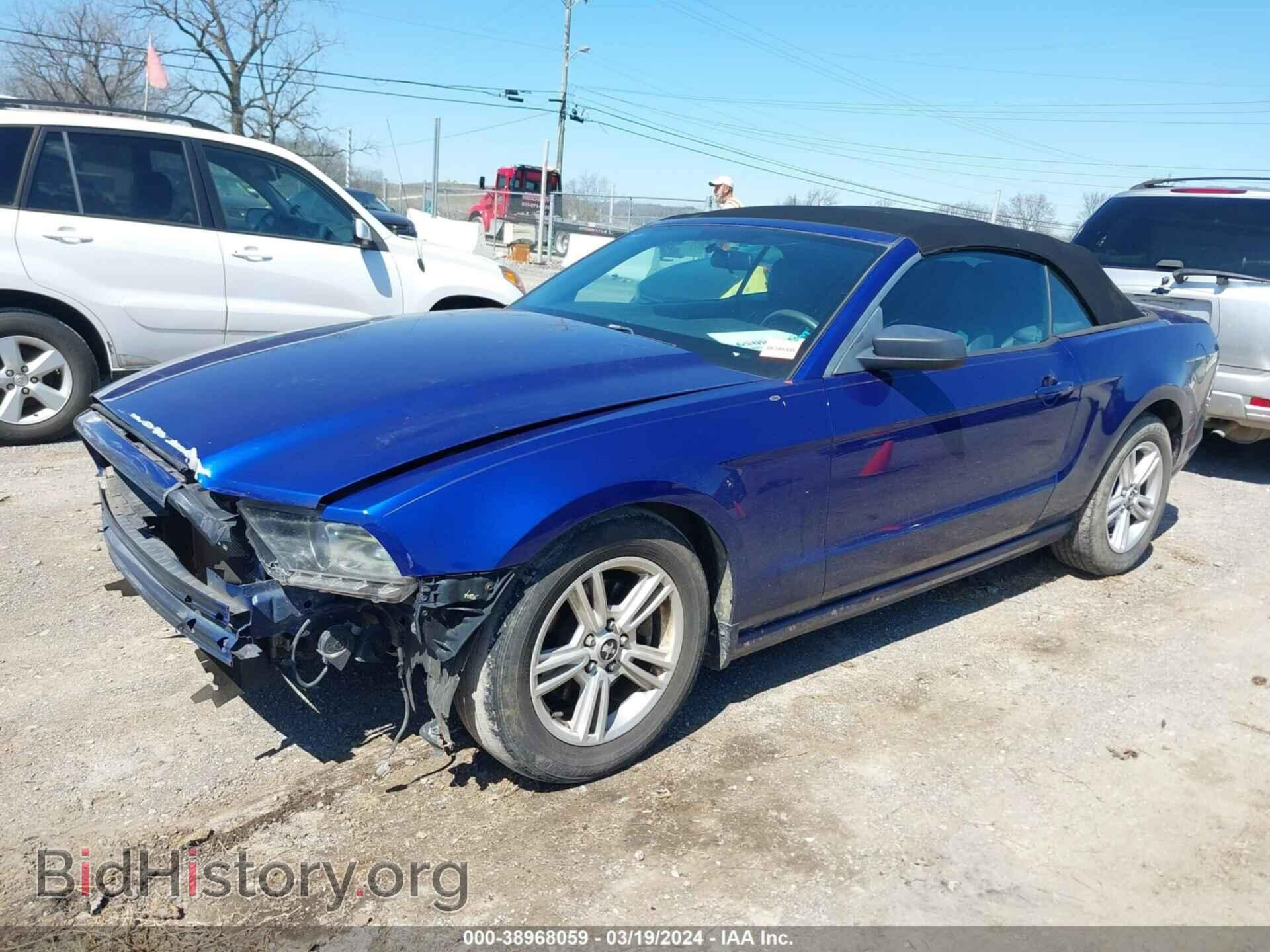 2013 FORD MUSTANG - VIN: 1ZVBP8EM1D5222003 - Фото 2