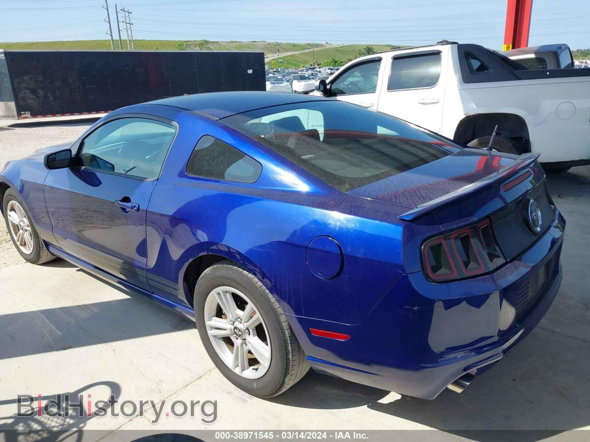 2013 FORD MUSTANG - VIN: 1ZVBP8AM4D5256281 - Фото 14