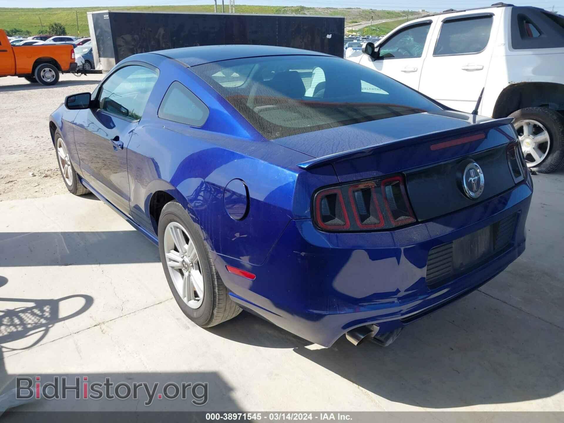 2013 FORD MUSTANG - VIN: 1ZVBP8AM4D5256281 - Фото 3