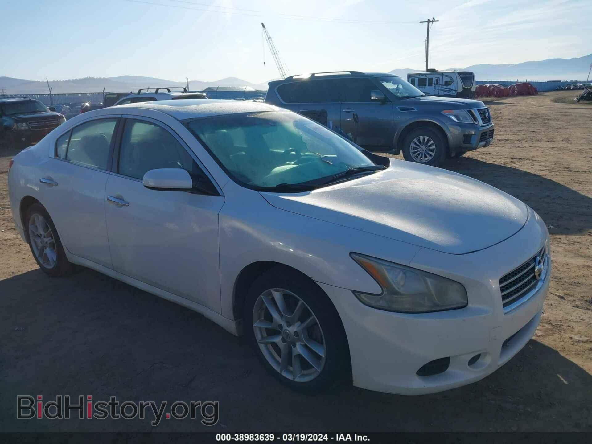 Photo 1N4AA51E59C858350 - NISSAN MAXIMA 2009