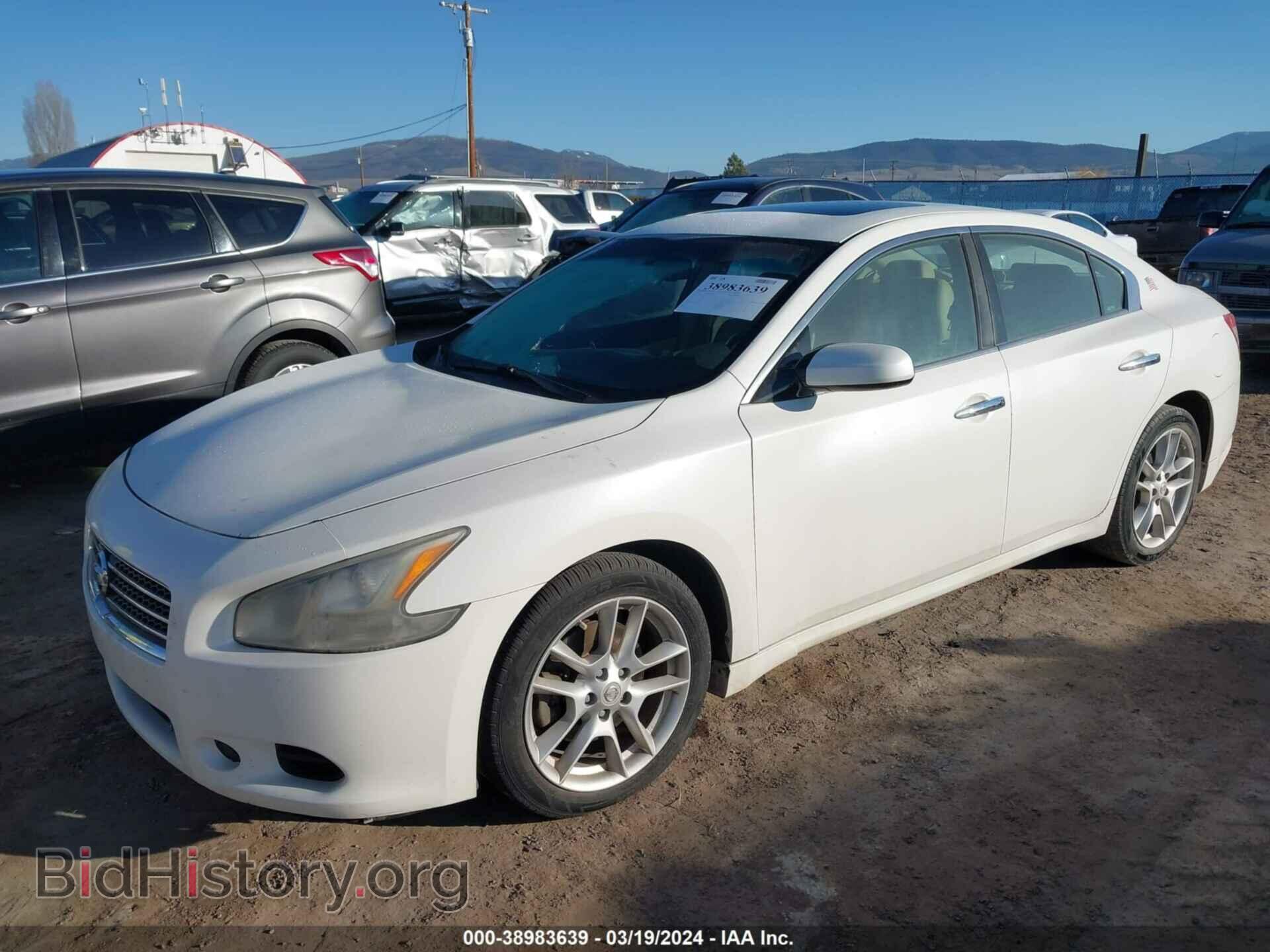 2009 NISSAN MAXIMA - VIN: 1N4AA51E59C858350 - Фото 2