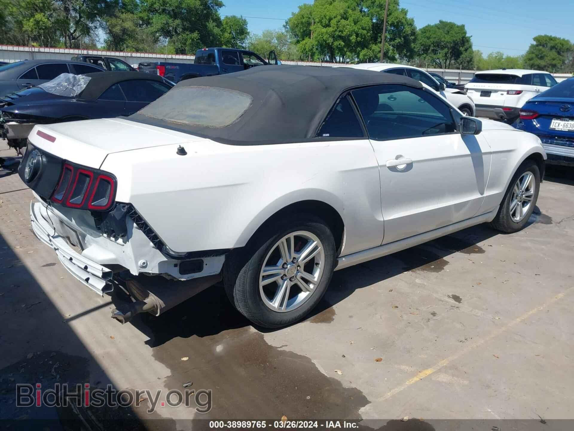 2013 FORD MUSTANG - VIN: 1ZVBP8EM5D5239287 - Фото 4