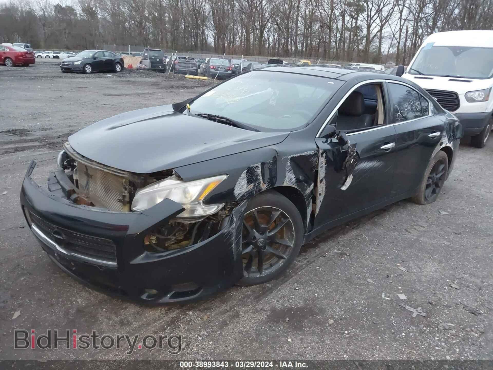 2011 NISSAN MAXIMA - VIN: 1N4AA5AP1BC831055 - Фото 2