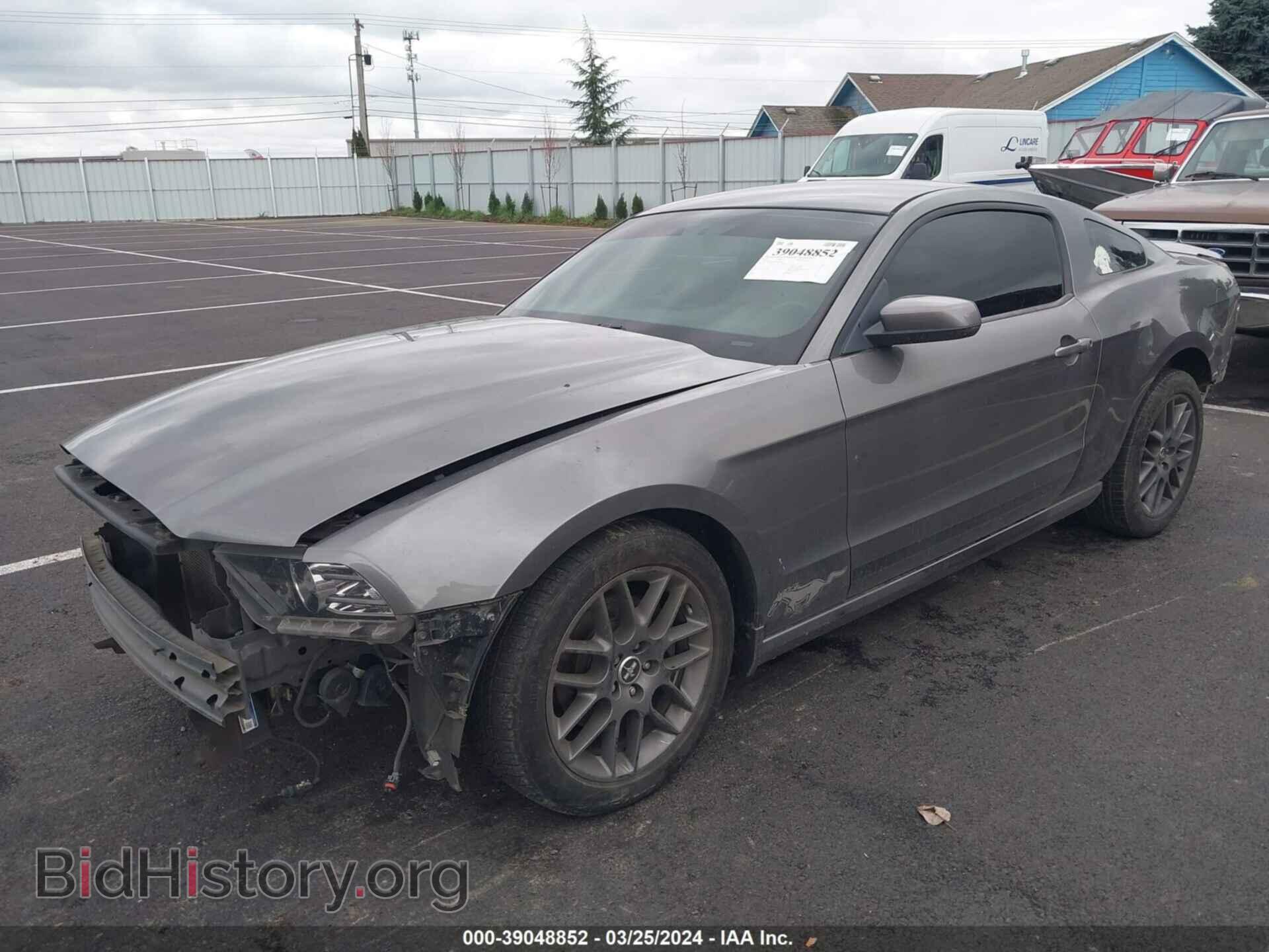 2013 FORD MUSTANG - VIN: 1ZVBP8AM8D5208105 - Фото 2