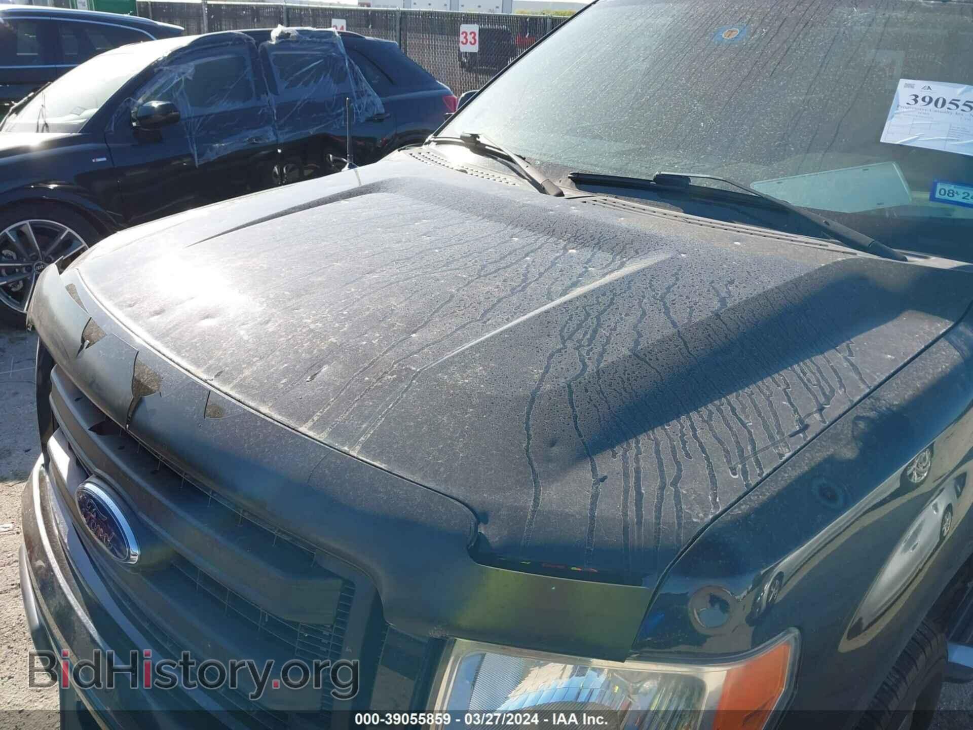 2013 FORD F-150 - VIN: 1FTMF1CM7DFD25624 - Фото 6