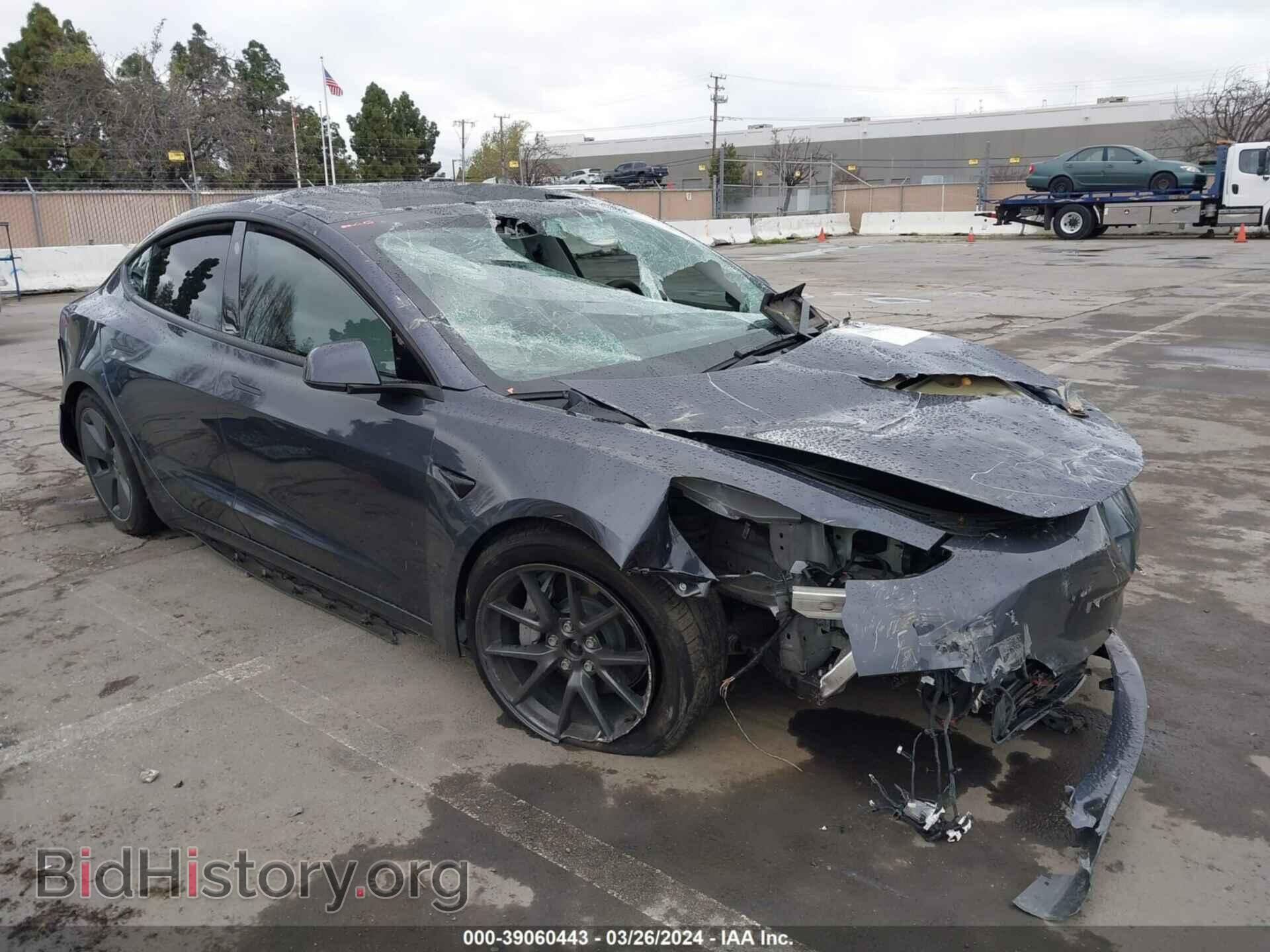 Photo 5YJ3E1EB8PF704666 - TESLA MODEL 3 2023