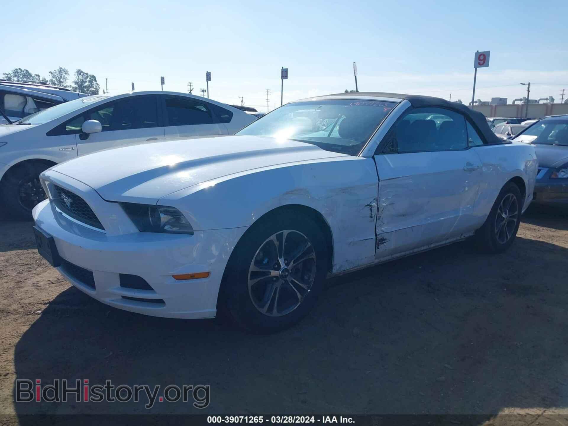 2014 FORD MUSTANG - VIN: 1ZVBP8EM0E5243927 - Фото 2
