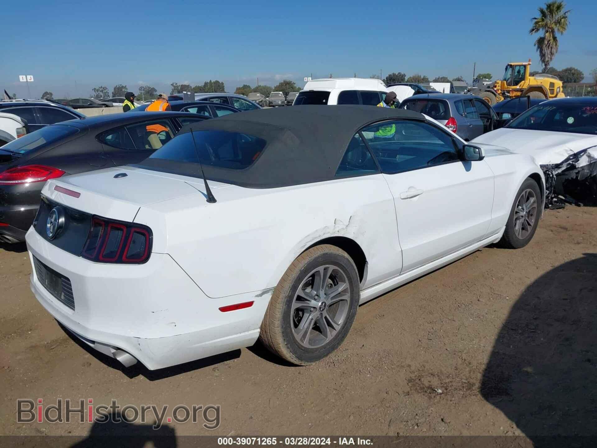 2014 FORD MUSTANG - VIN: 1ZVBP8EM0E5243927 - Фото 4