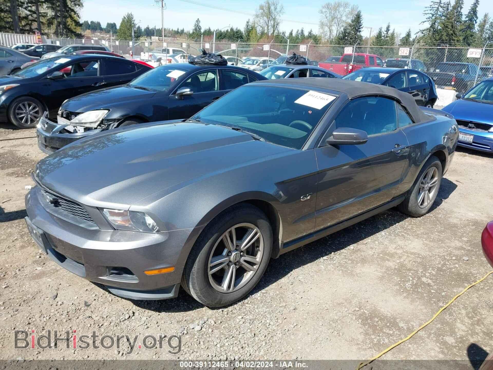 2011 FORD MUSTANG - VIN: 1ZVBP8EM0B5126232 - Фото 2