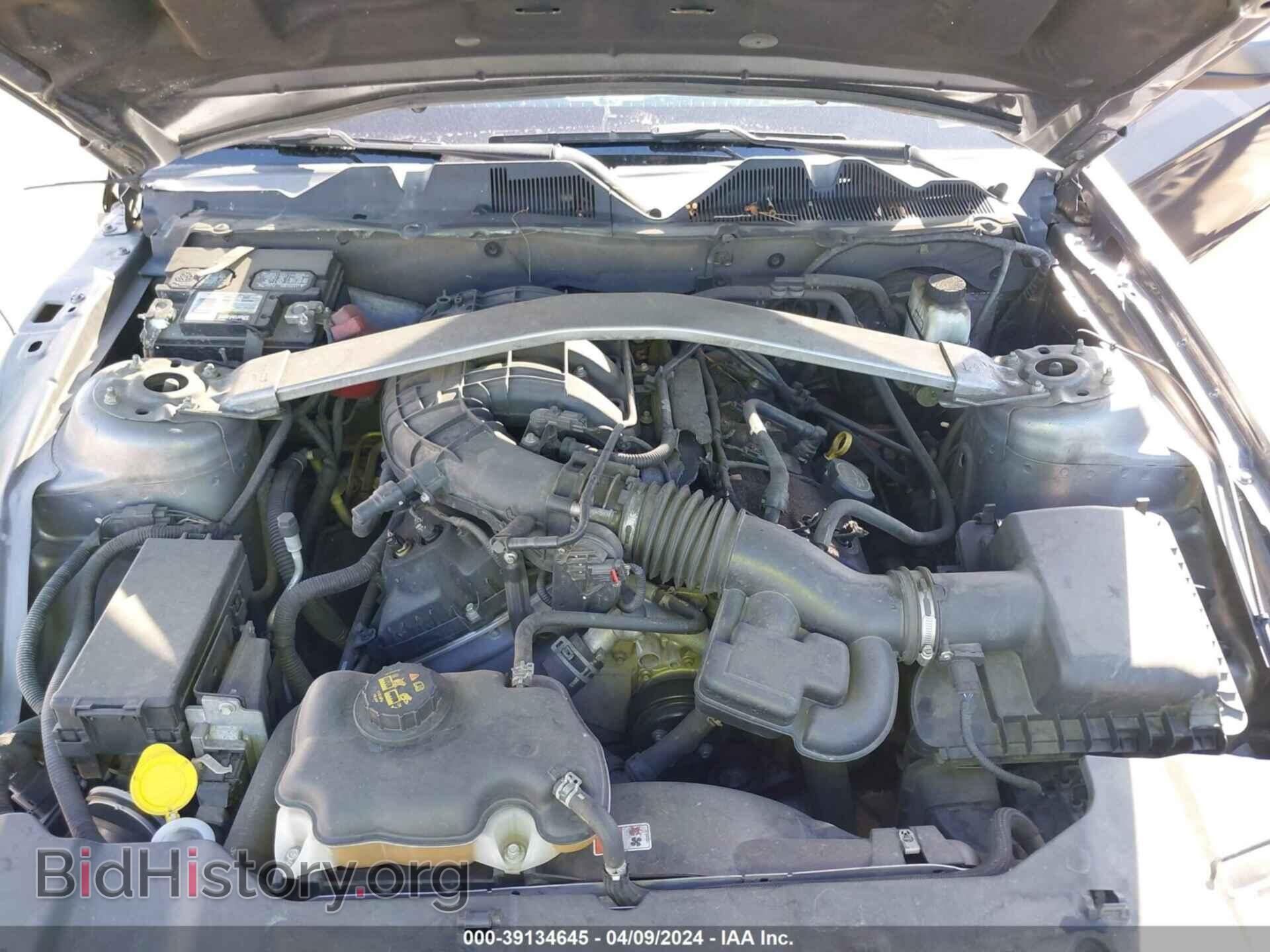2014 FORD MUSTANG - VIN: 1ZVBP8EM9E5292317 - Фото 10