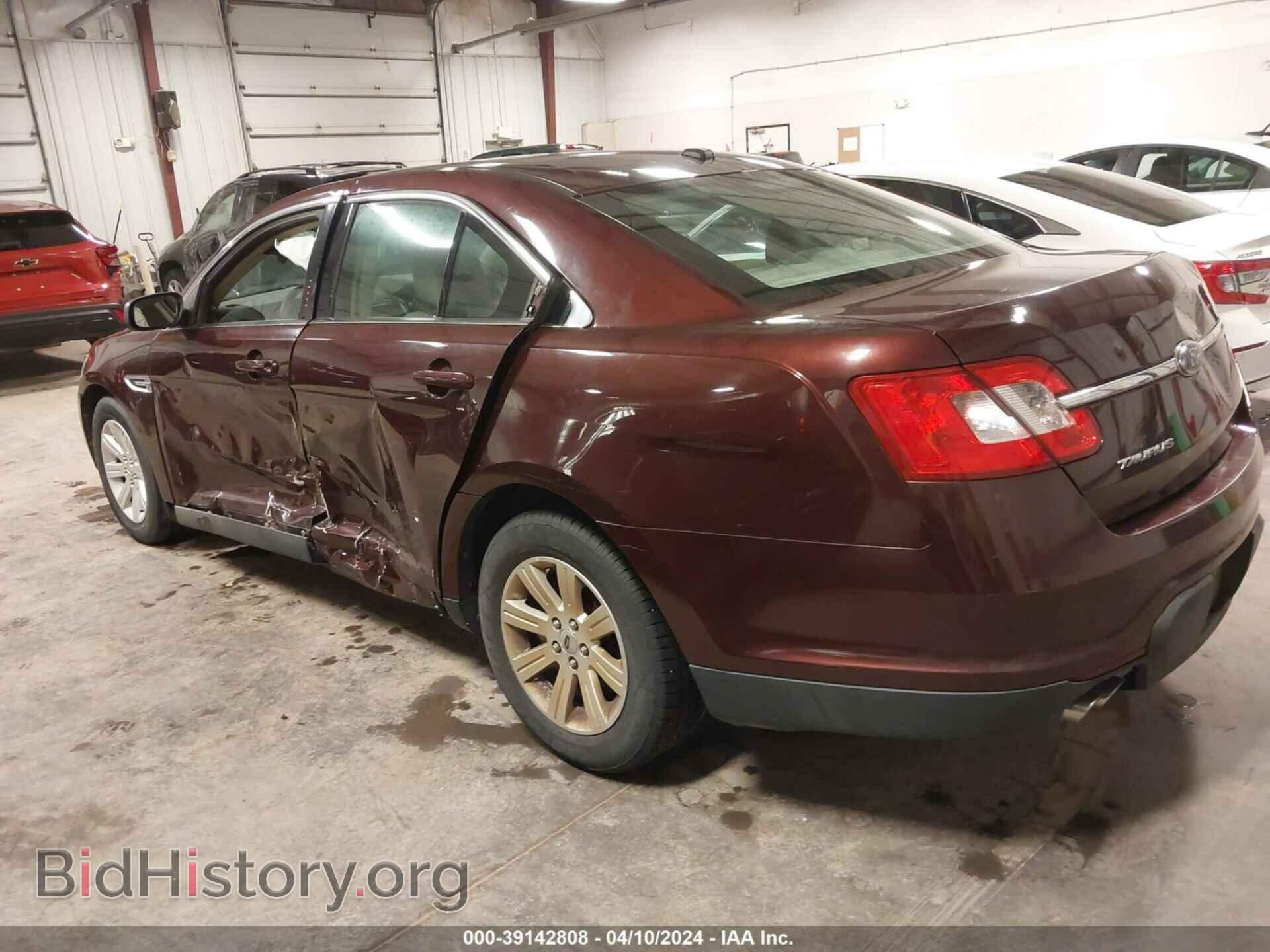 2010 FORD TAURUS - VIN: 1FAHP2DW3AG155651 - Фото 3