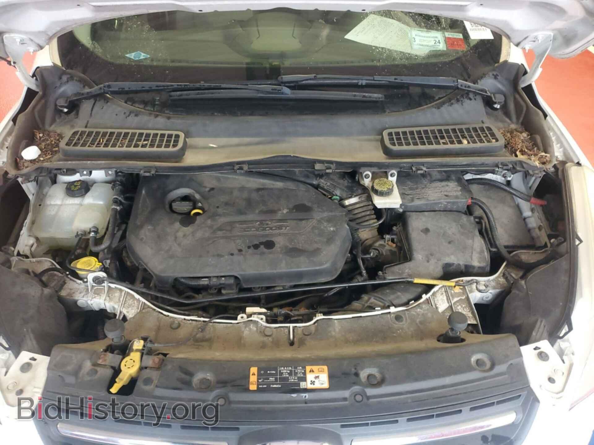 2014 FORD ESCAPE - VIN: 1FMCU9GX5EUC77070 - Фото 3