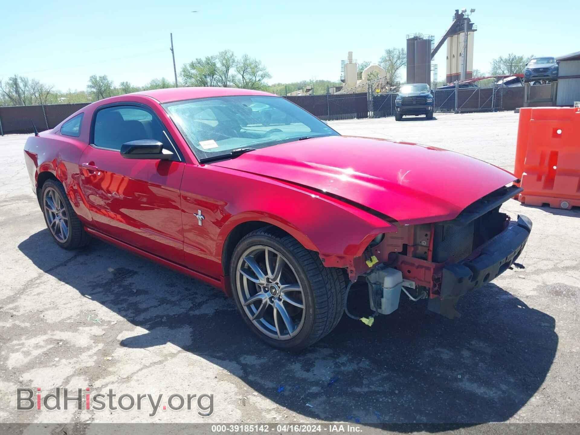 Фотография 1ZVBP8AM0D5277399 - FORD MUSTANG 2013