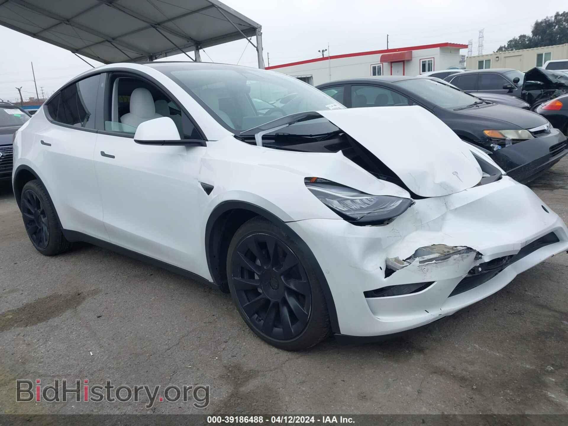 Photo 5YJYGDEE2MF202596 - TESLA MODEL Y 2021