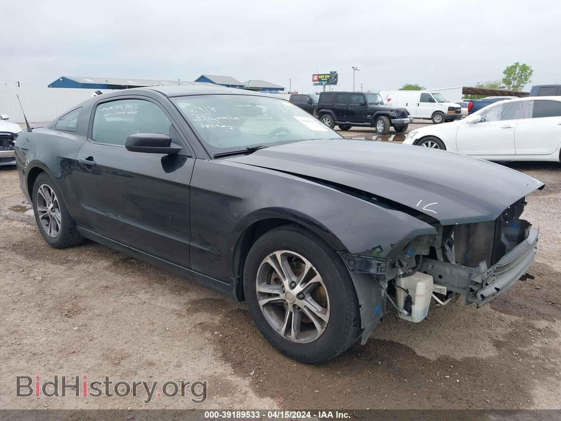 Photo 1ZVBP8AM4E5281599 - FORD MUSTANG 2014