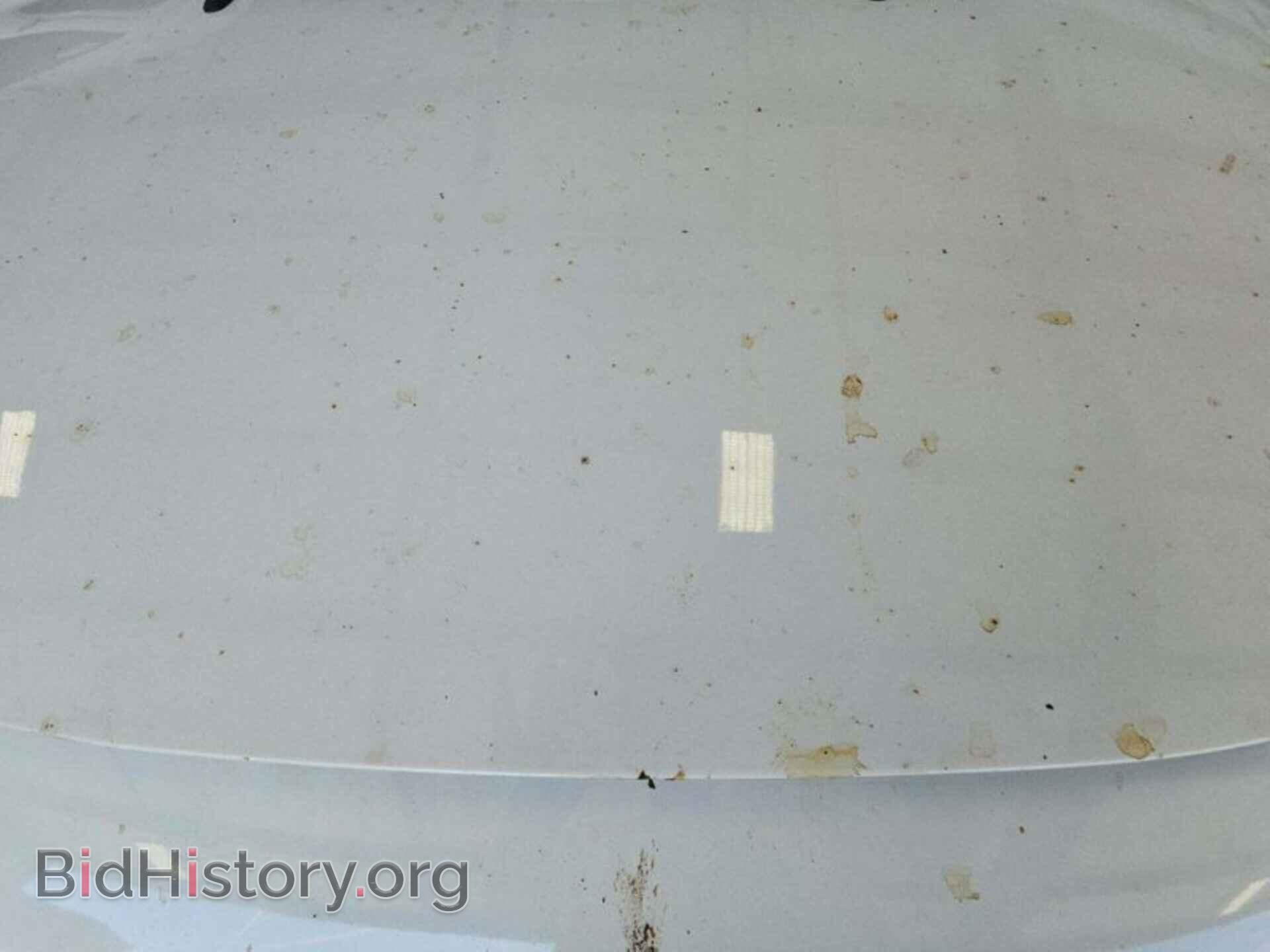 Фотография NM0LS7E2XK1399861 - FORD TRANSIT CONNECT 2019