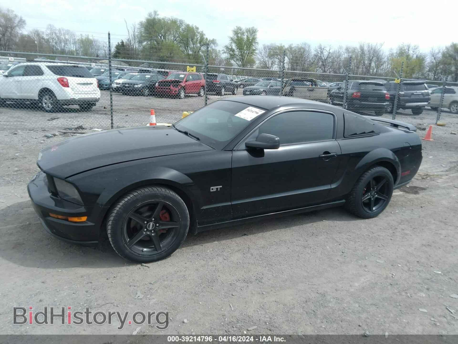 2006 FORD MUSTANG - VIN: 1ZVHT82H665166592 - Фото 2
