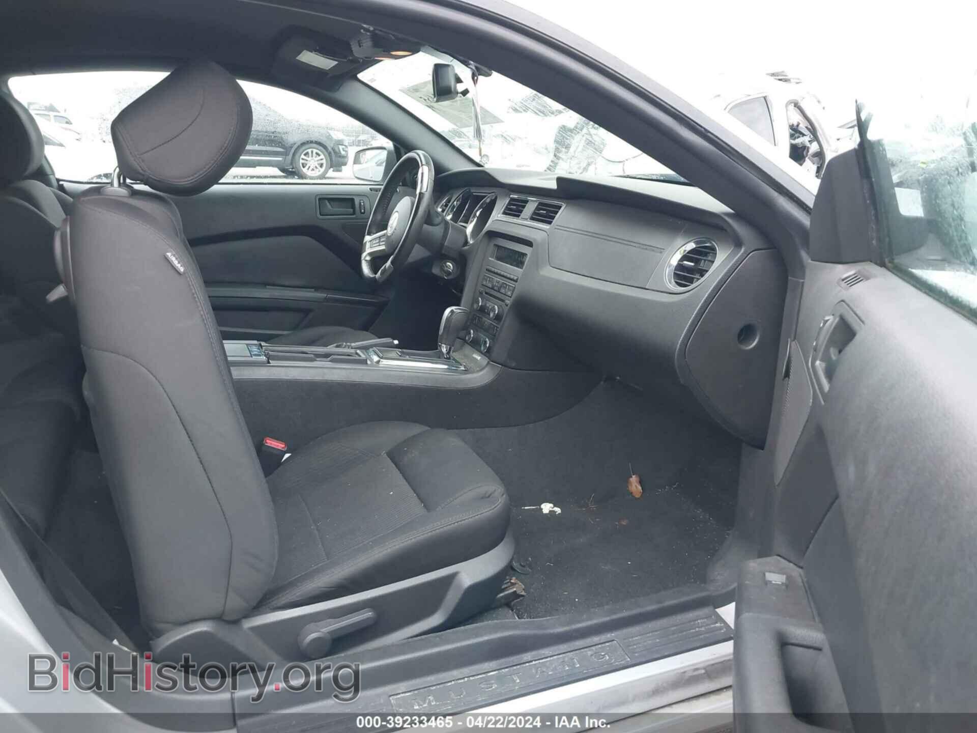 2013 FORD MUSTANG - VIN: 1ZVBP8AM5D5228103 - Фото 5