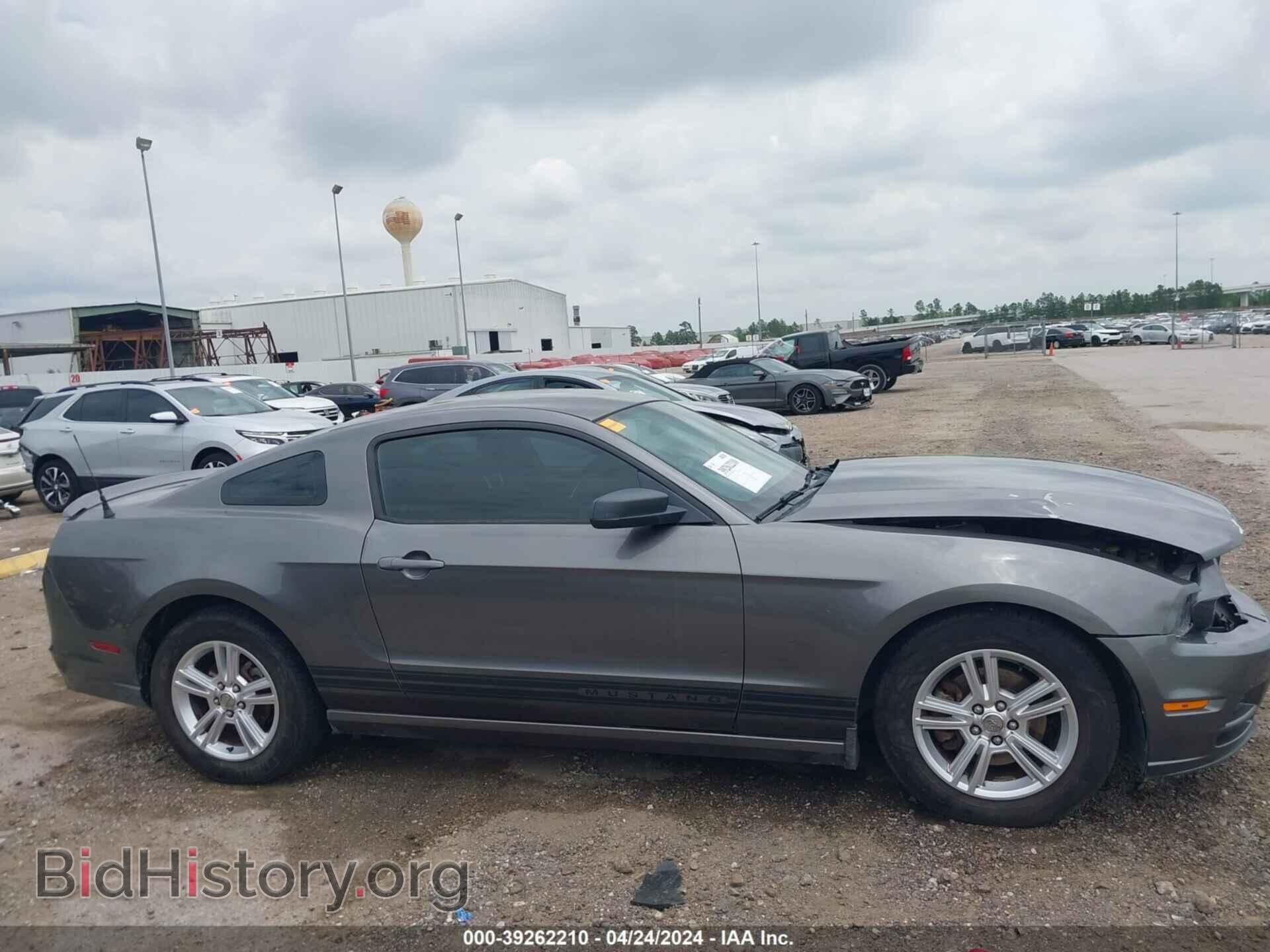 2013 FORD MUSTANG - VIN: 1ZVBP8AM2D5259020 - Фото 13