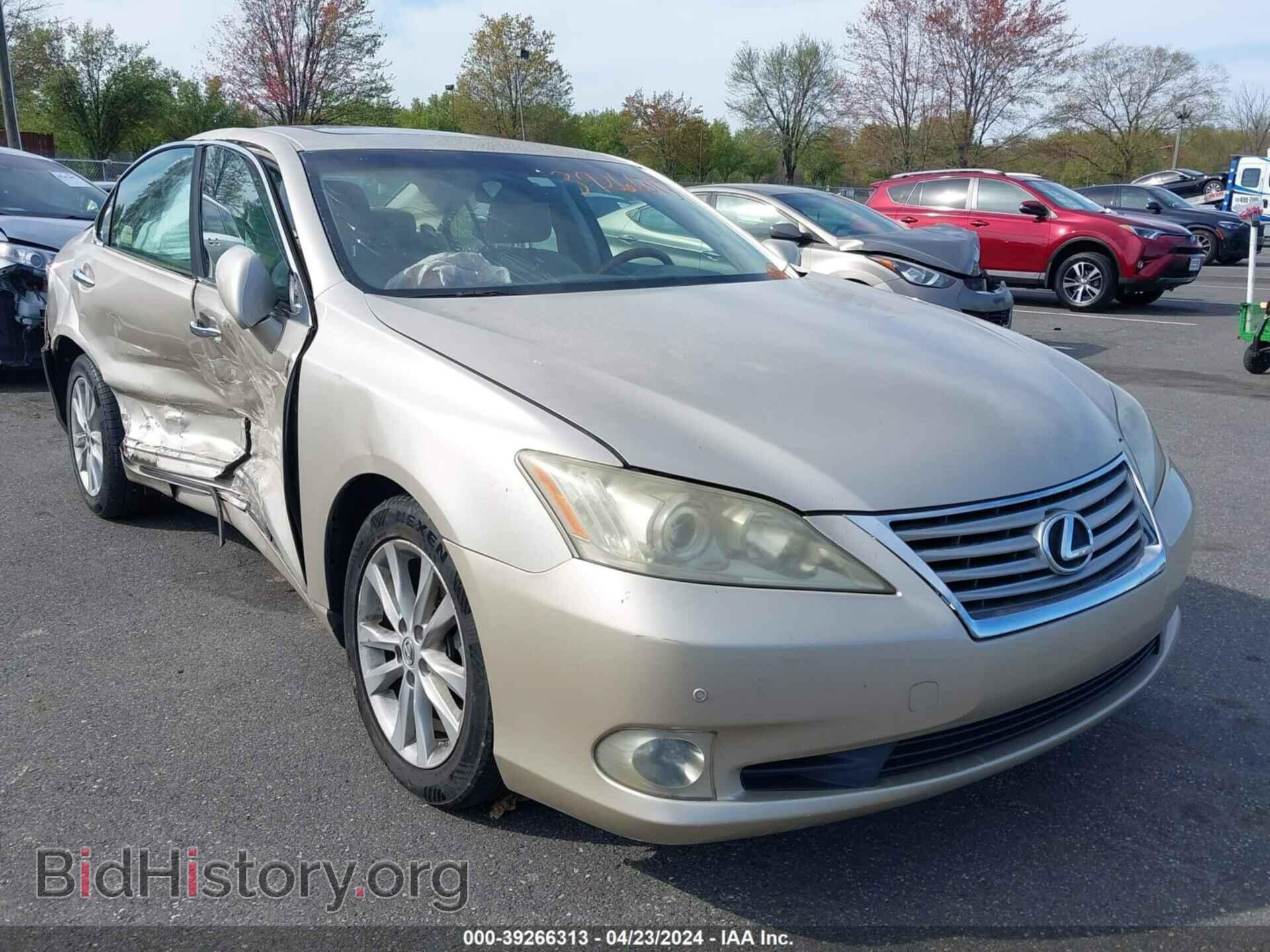 Фотография JTHBK1EG8A2370034 - LEXUS ES 350 2010