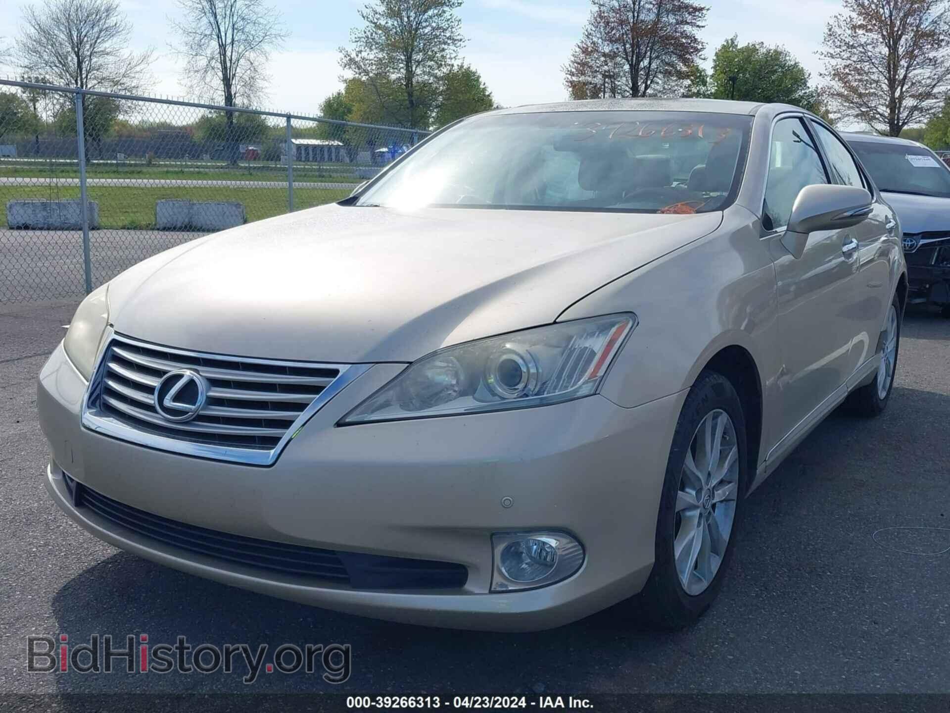 2010 LEXUS ES 350 - VIN: JTHBK1EG8A2370034 - Фото 2