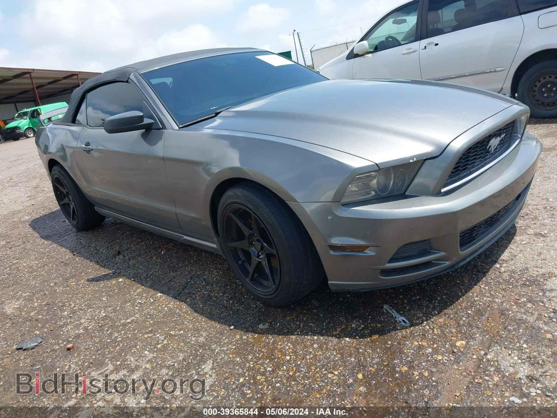 Фотография 1ZVBP8EM8D5260148 - FORD MUSTANG 2013