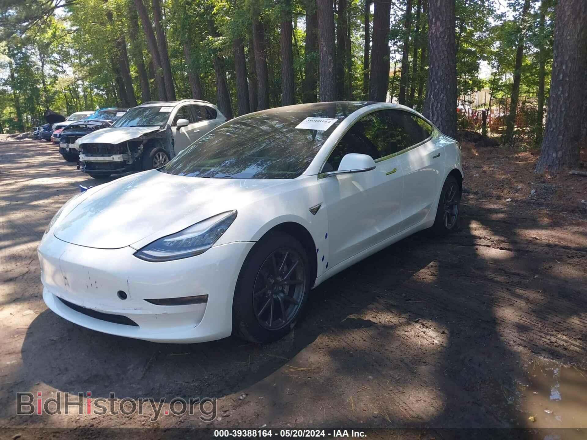 2019 TESLA MODEL 3 - VIN: 5YJ3E1EA3KF485177 - Фото 2