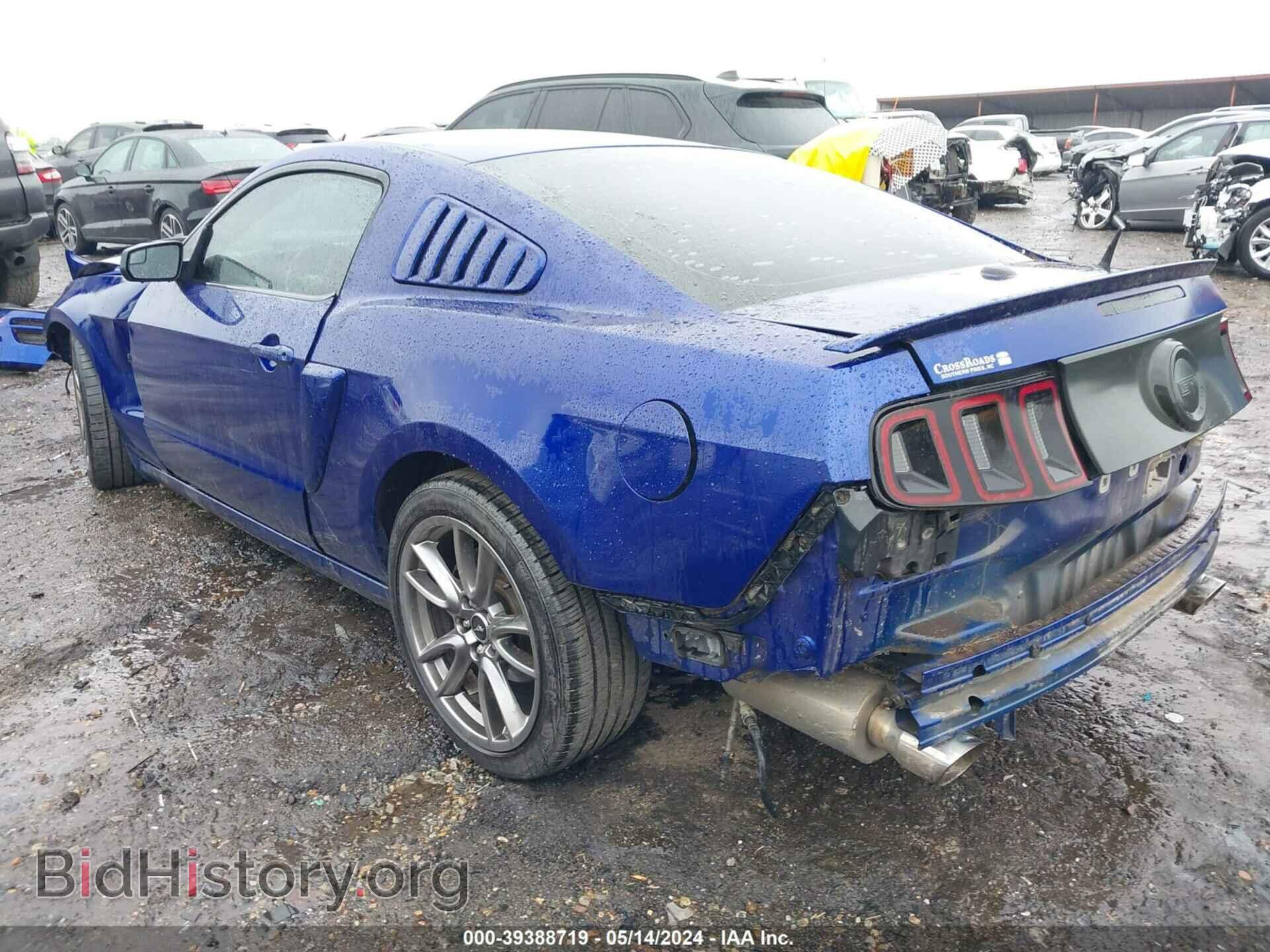 2013 FORD MUSTANG - VIN: 1ZVBP8CF4D5240466 - Фото 3