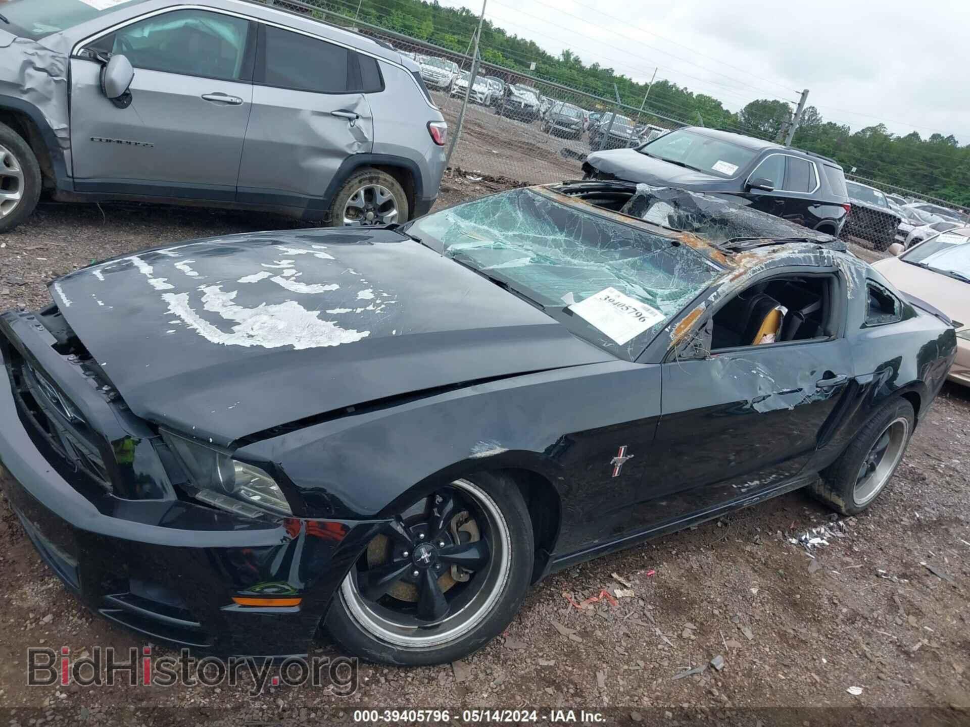 2013 FORD MUSTANG - VIN: 1ZVBP8AM2D5273399 - Фото 6