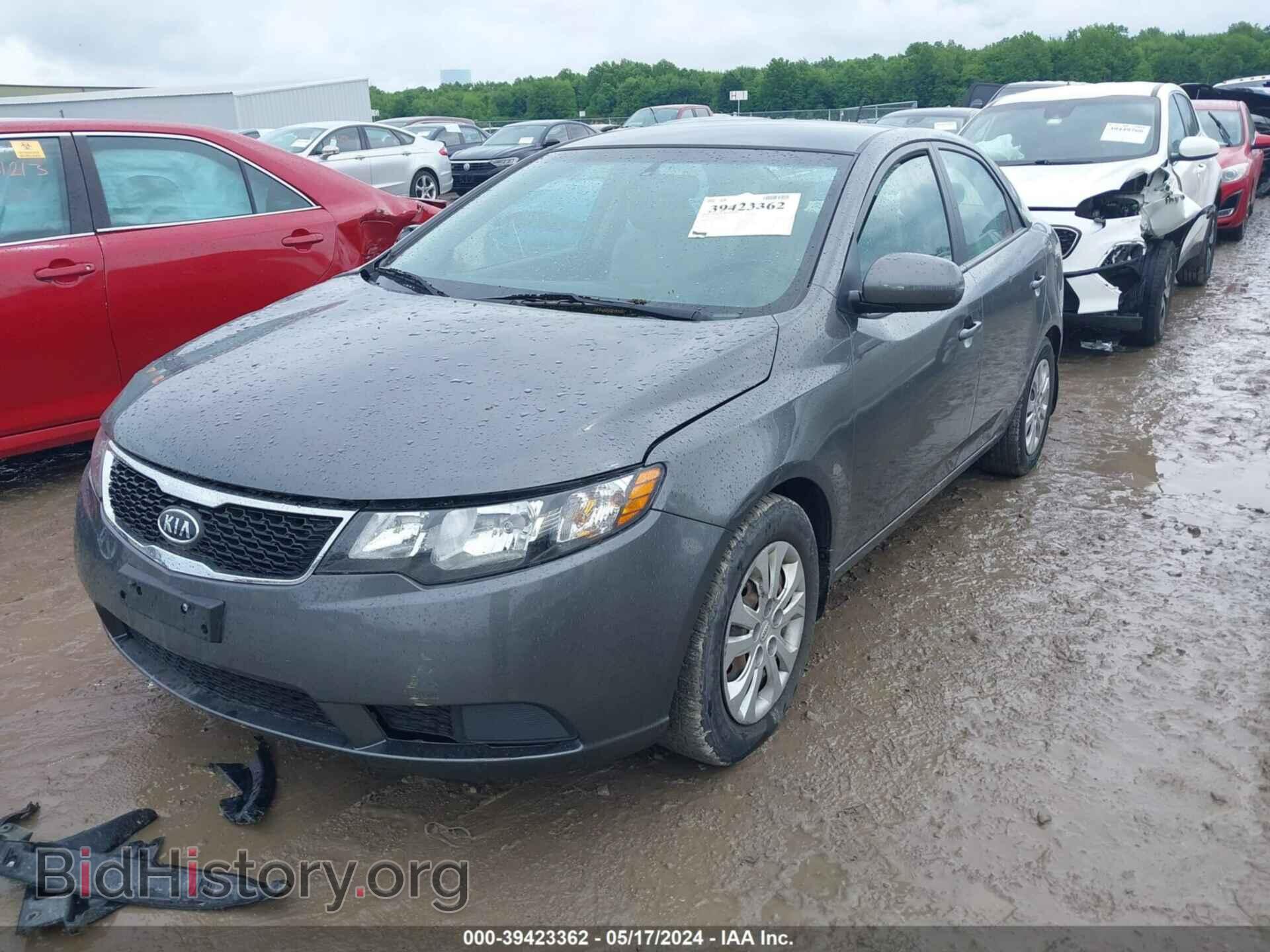 2013 KIA FORTE - VIN: KNAFU4A25D5734516 - Фото 2