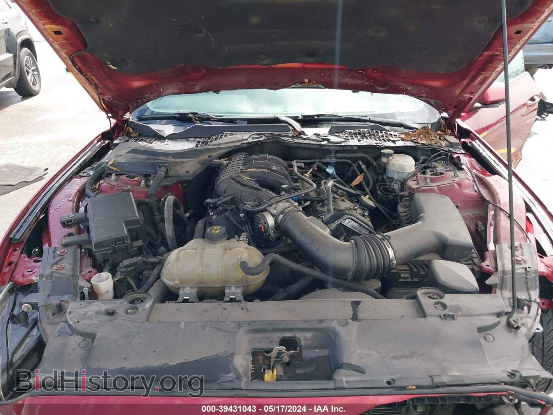 2017 FORD MUSTANG - VIN: 1FA6P8AM7H5228992 - Фото 10
