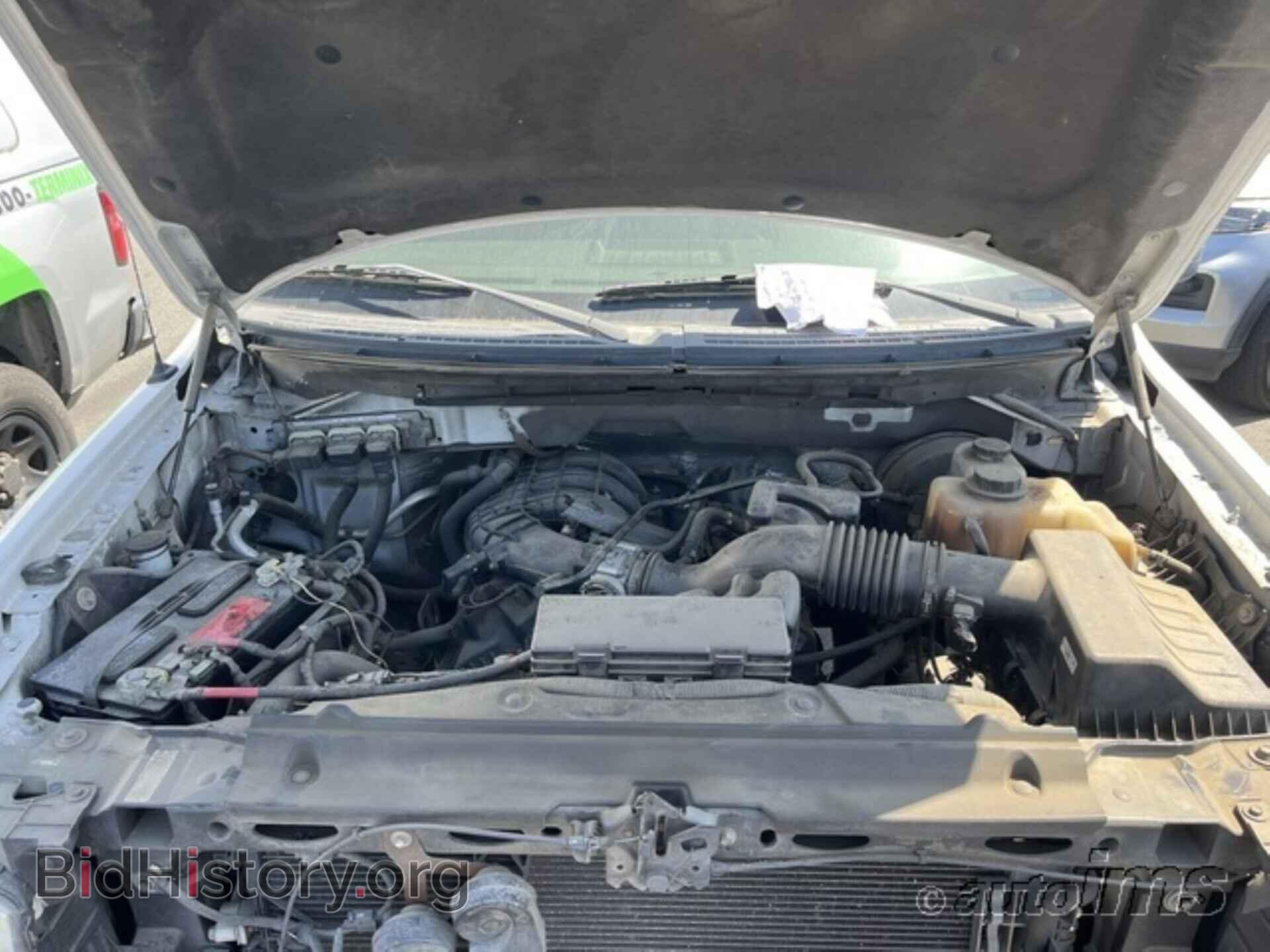 2013 FORD F150 - VIN: 1FTMF1CM9DKD55957 - Photo 5