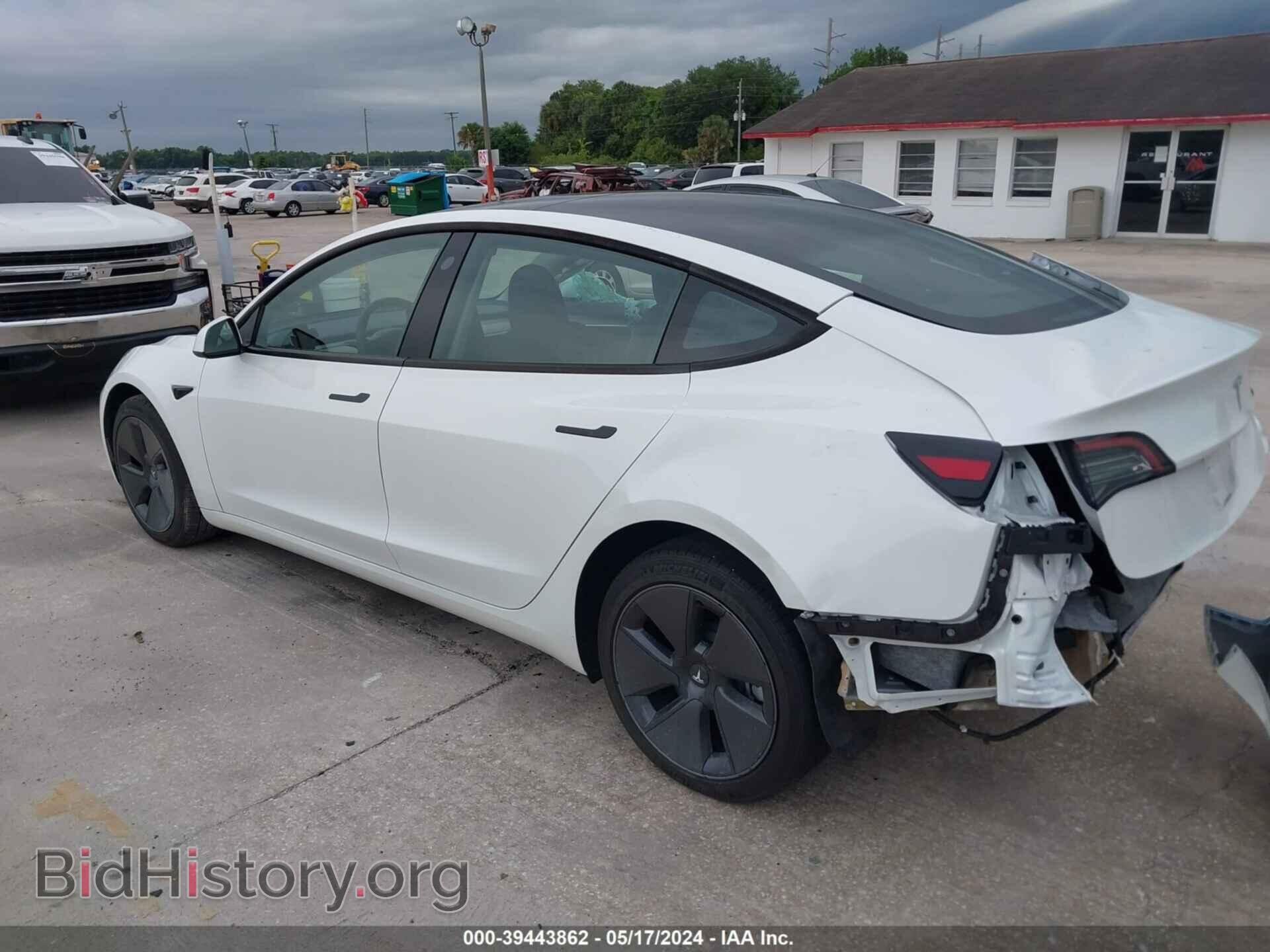 2023 TESLA MODEL 3 - VIN: 5YJ3E1EA5PF586812 - Фото 3