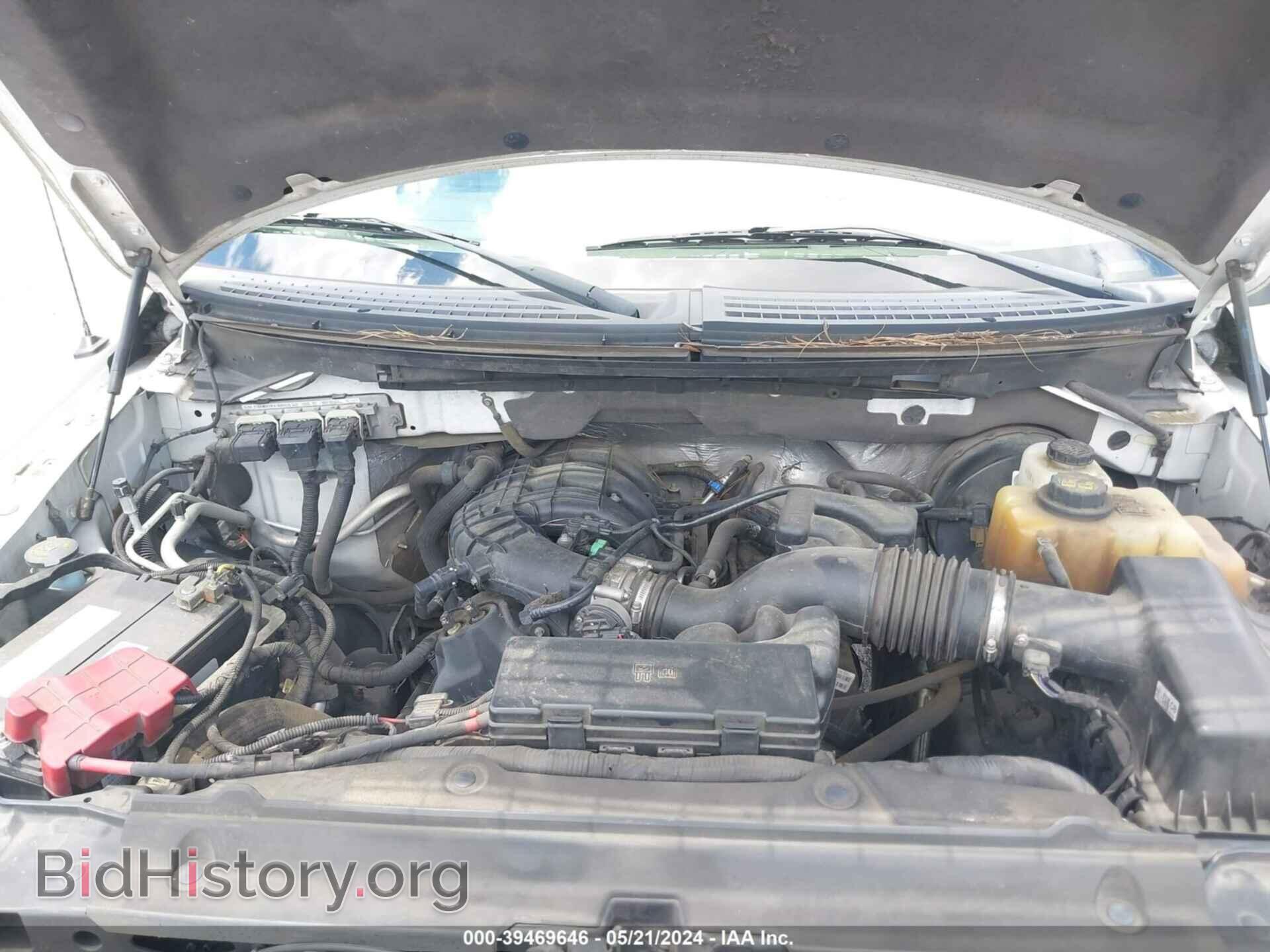 2013 FORD F-150 - VIN: 1FTMF1CM7DFD70255 - Фото 10