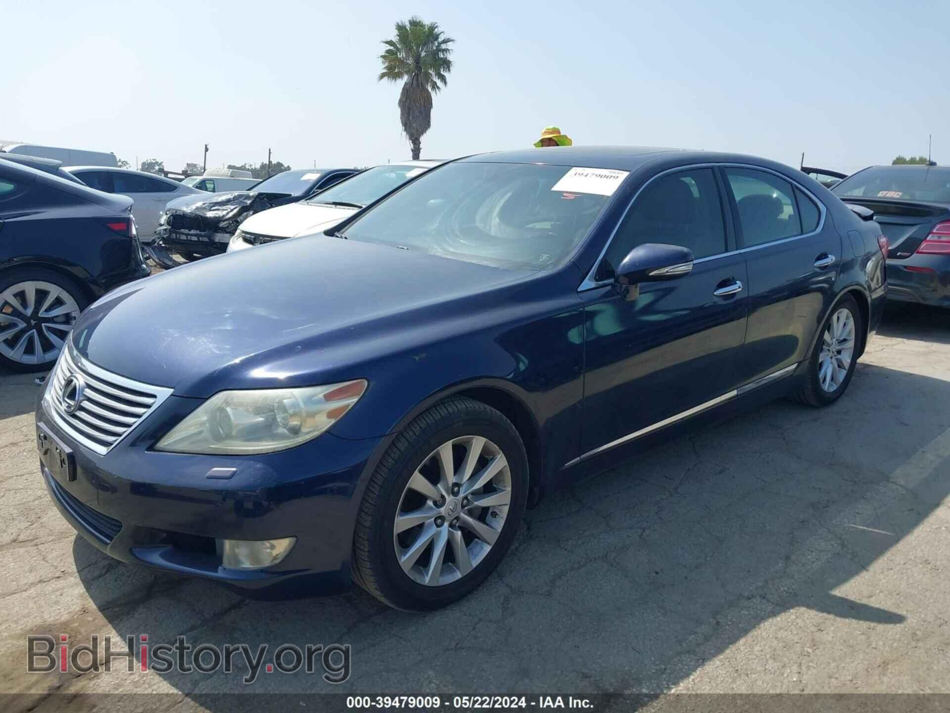 2010 LEXUS LS 460 - VIN: JTHBL5EF8A5095288 - Фото 2