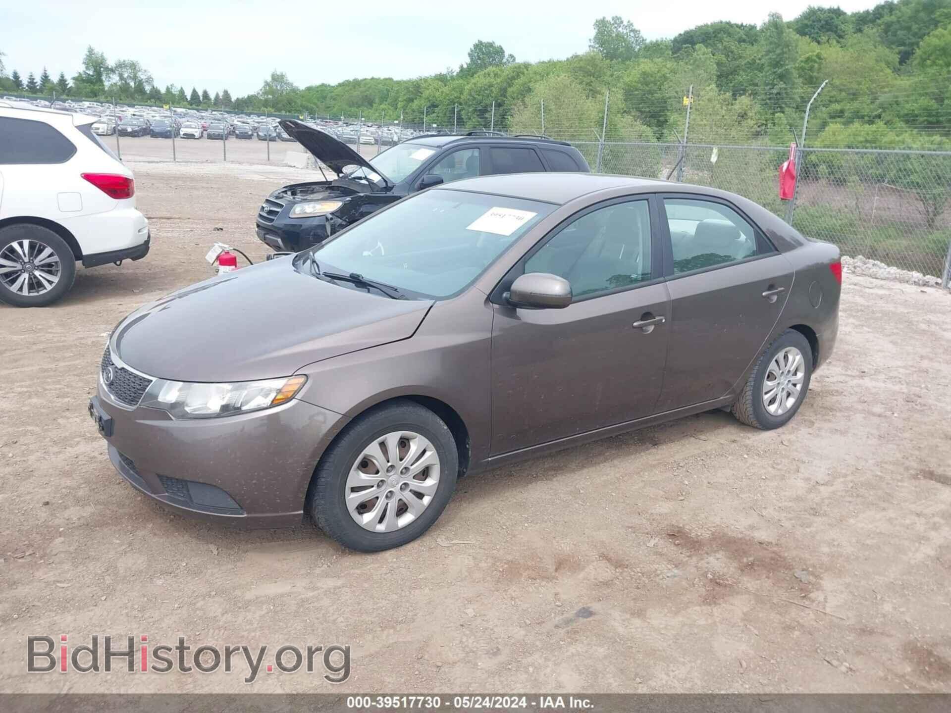2013 KIA FORTE - VIN: KNAFU4A28D5679768 - Фото 2