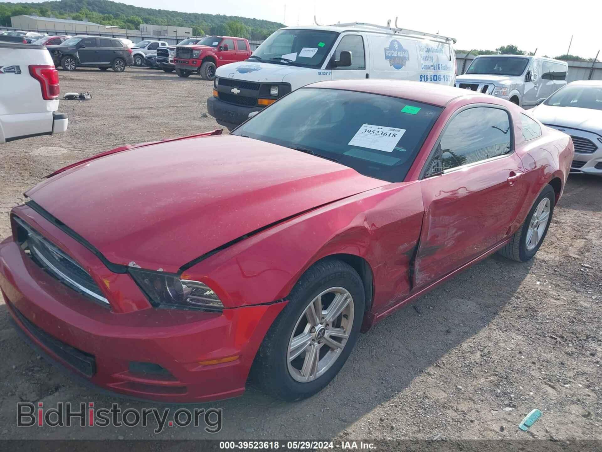2013 FORD MUSTANG - VIN: 1ZVBP8AM3D5274917 - Фото 2