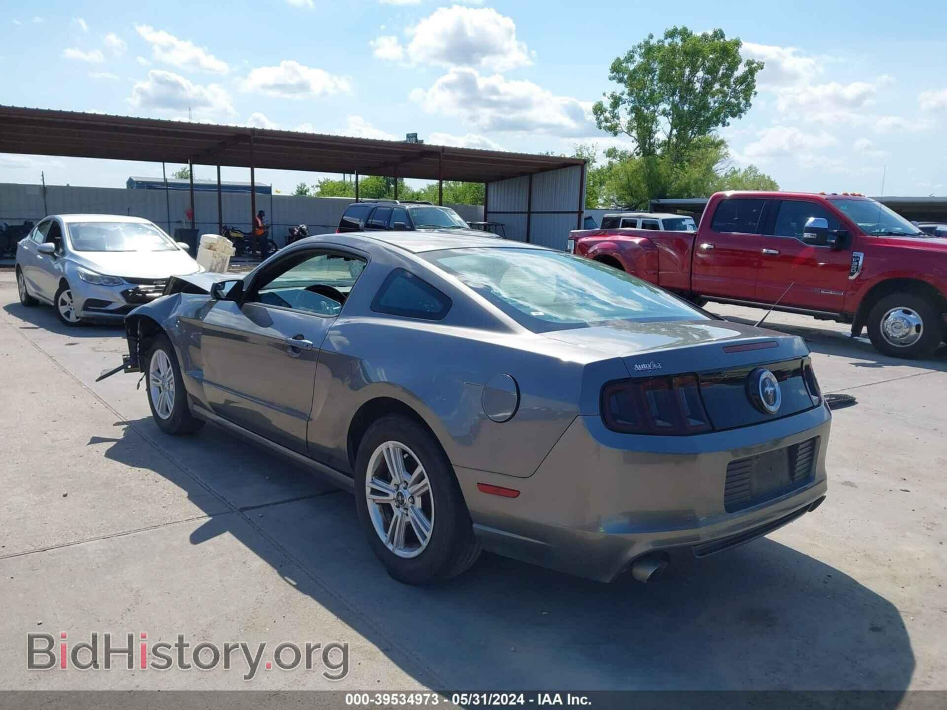 2014 FORD MUSTANG - VIN: 1ZVBP8AM2E5334154 - Фото 3