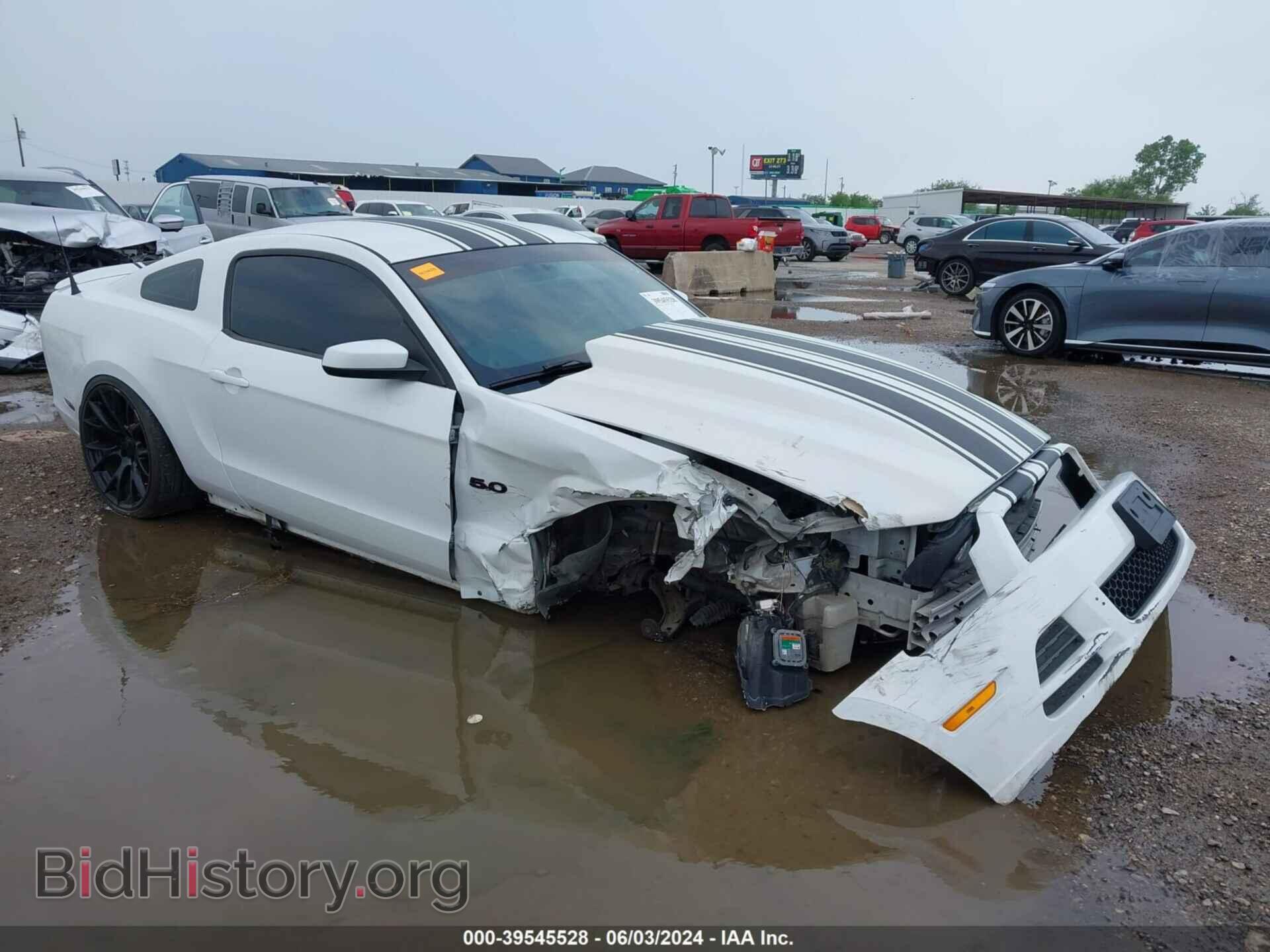 Фотография 1ZVBP8CF2E5283995 - FORD MUSTANG 2014