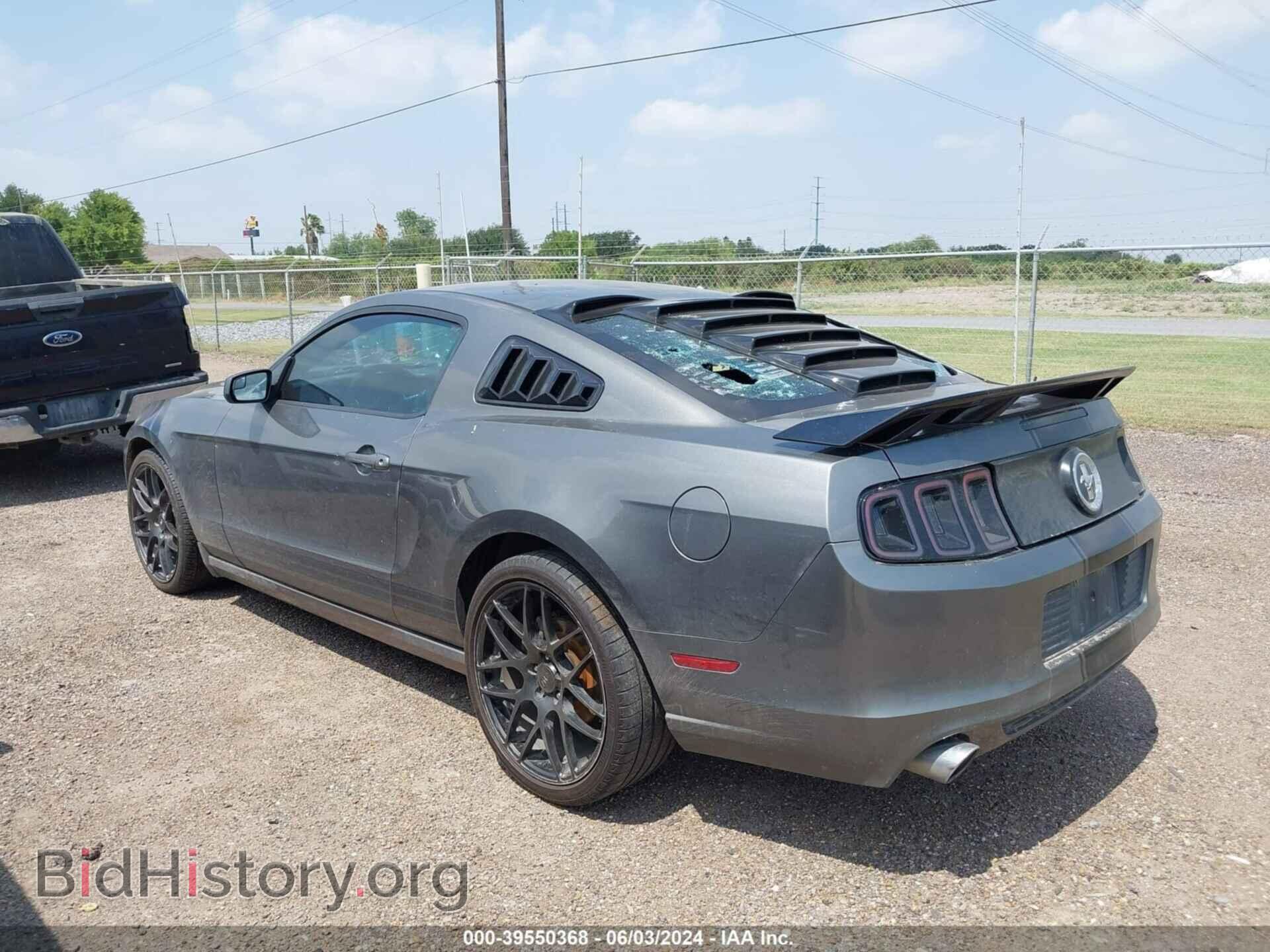 2013 FORD MUSTANG - VIN: 1ZVBP8AM3D5238791 - Фото 3