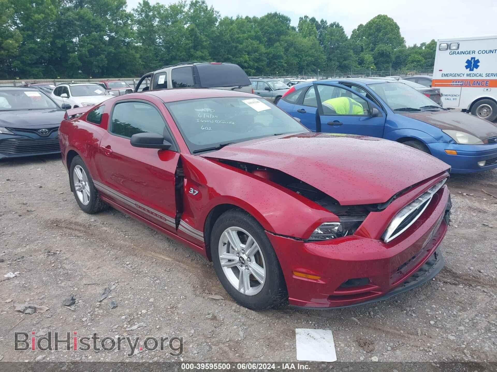 Фотография 1ZVBP8AM2E5203841 - FORD MUSTANG 2014