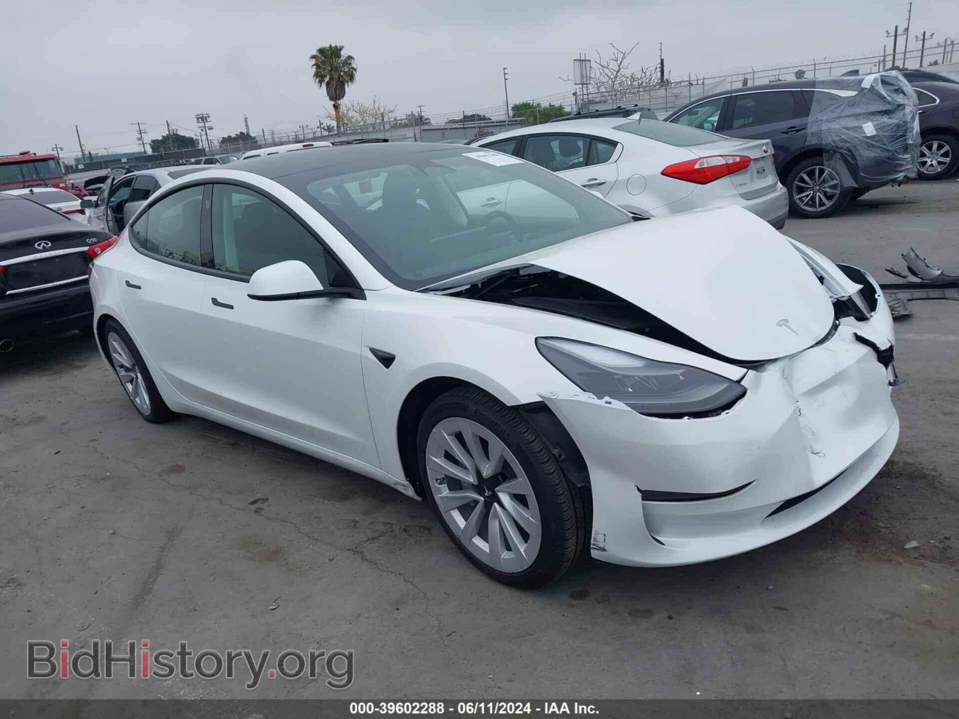 Photo 5YJ3E1EB0PF389040 - TESLA MODEL 3 2023