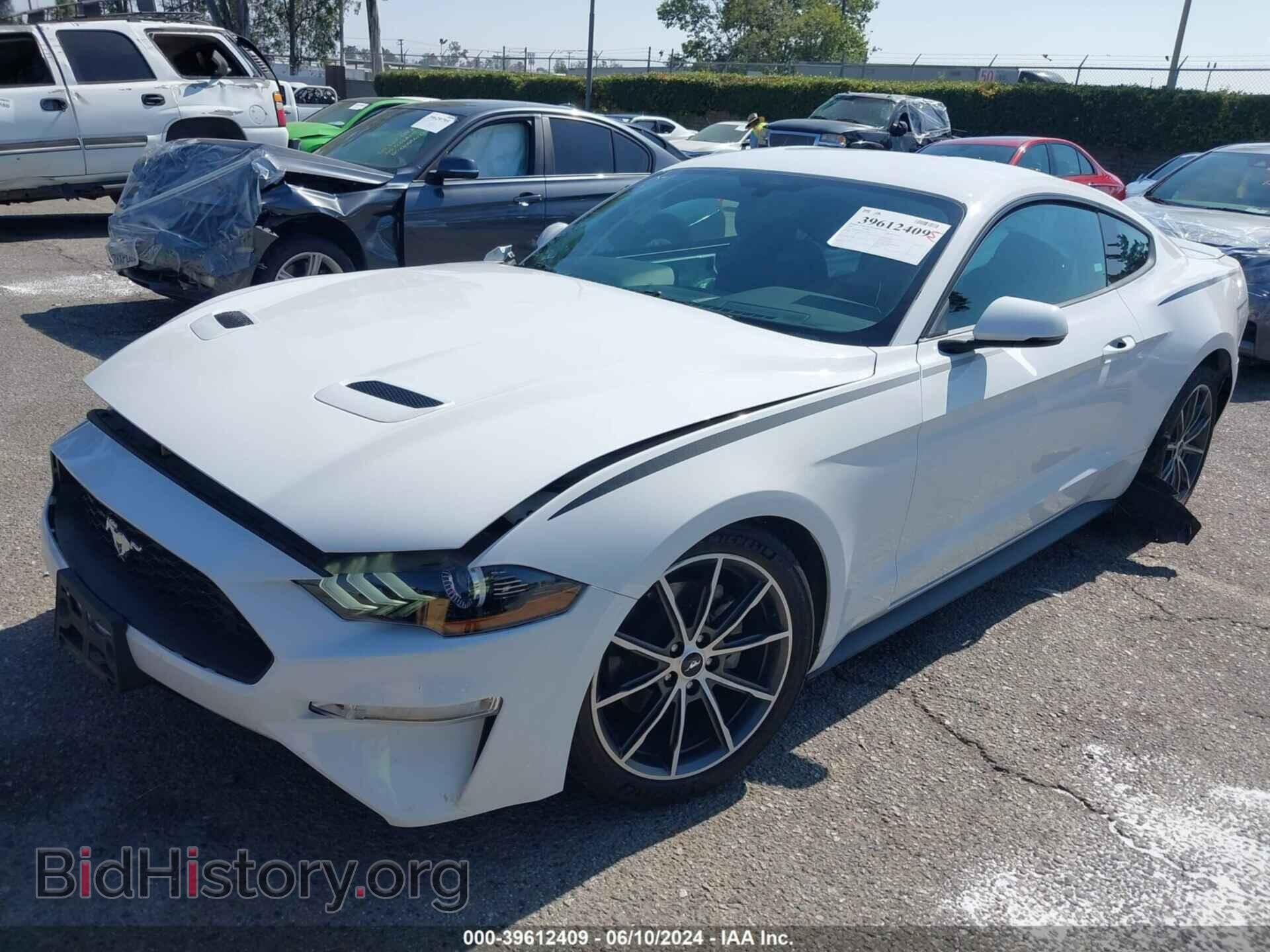 2019 FORD MUSTANG - VIN: 1FA6P8TH1K5123467 - Фото 2